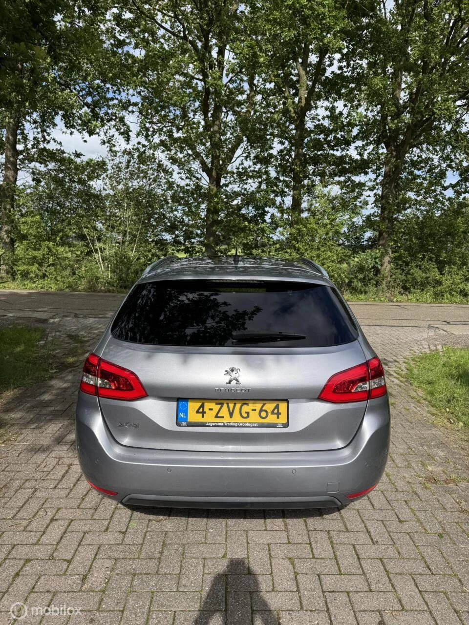 Hoofdafbeelding Peugeot 308