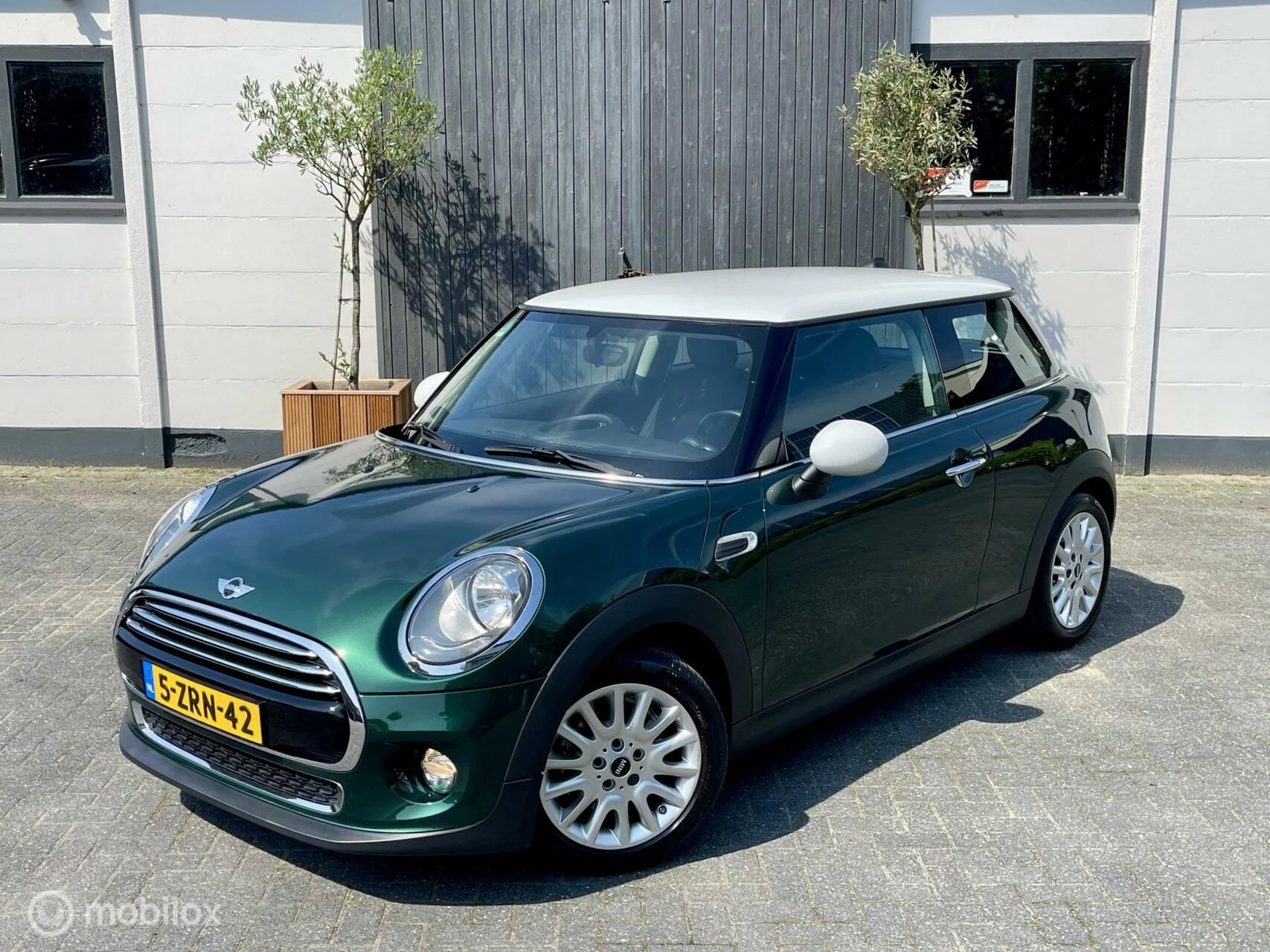 Hoofdafbeelding MINI Cooper