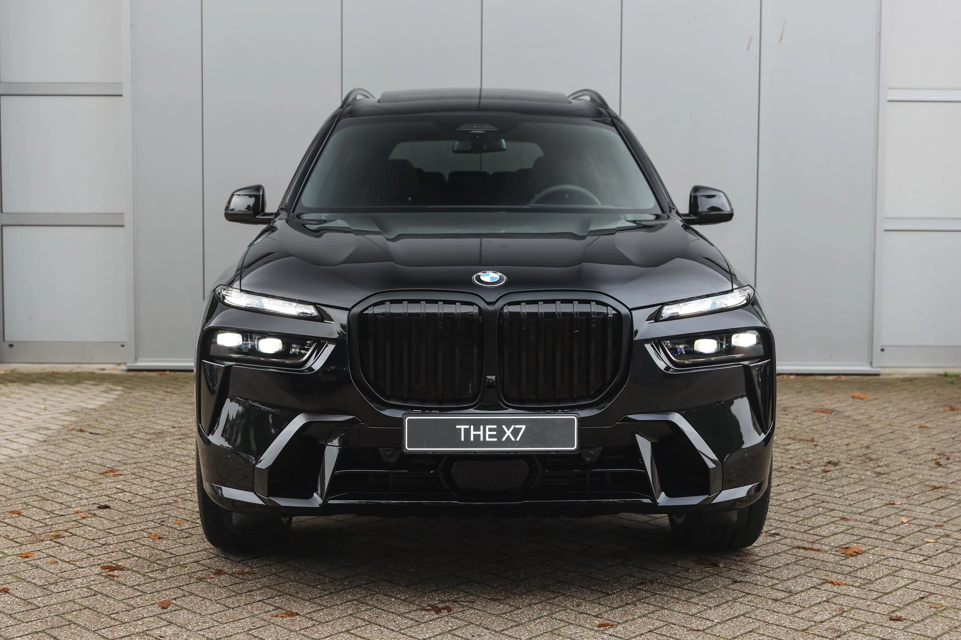 Hoofdafbeelding BMW X7