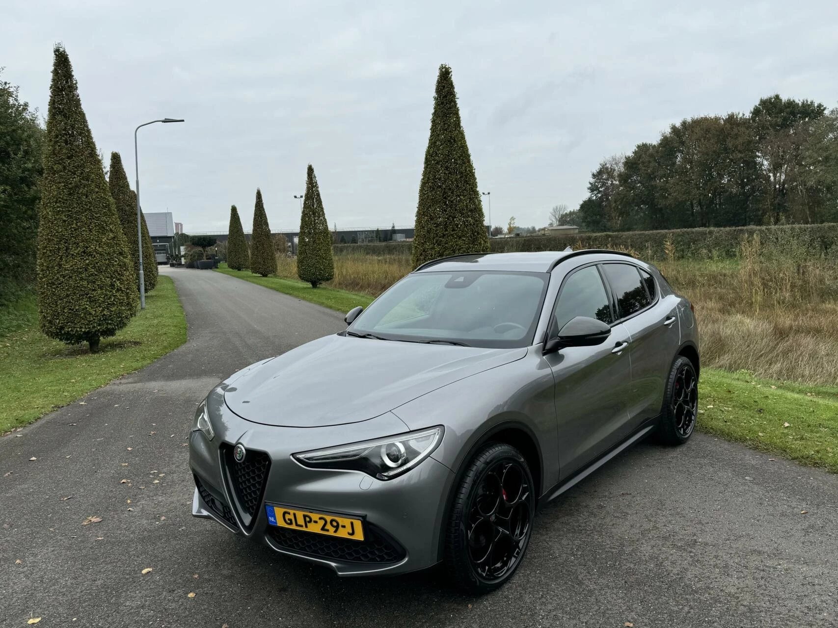 Hoofdafbeelding Alfa Romeo Stelvio