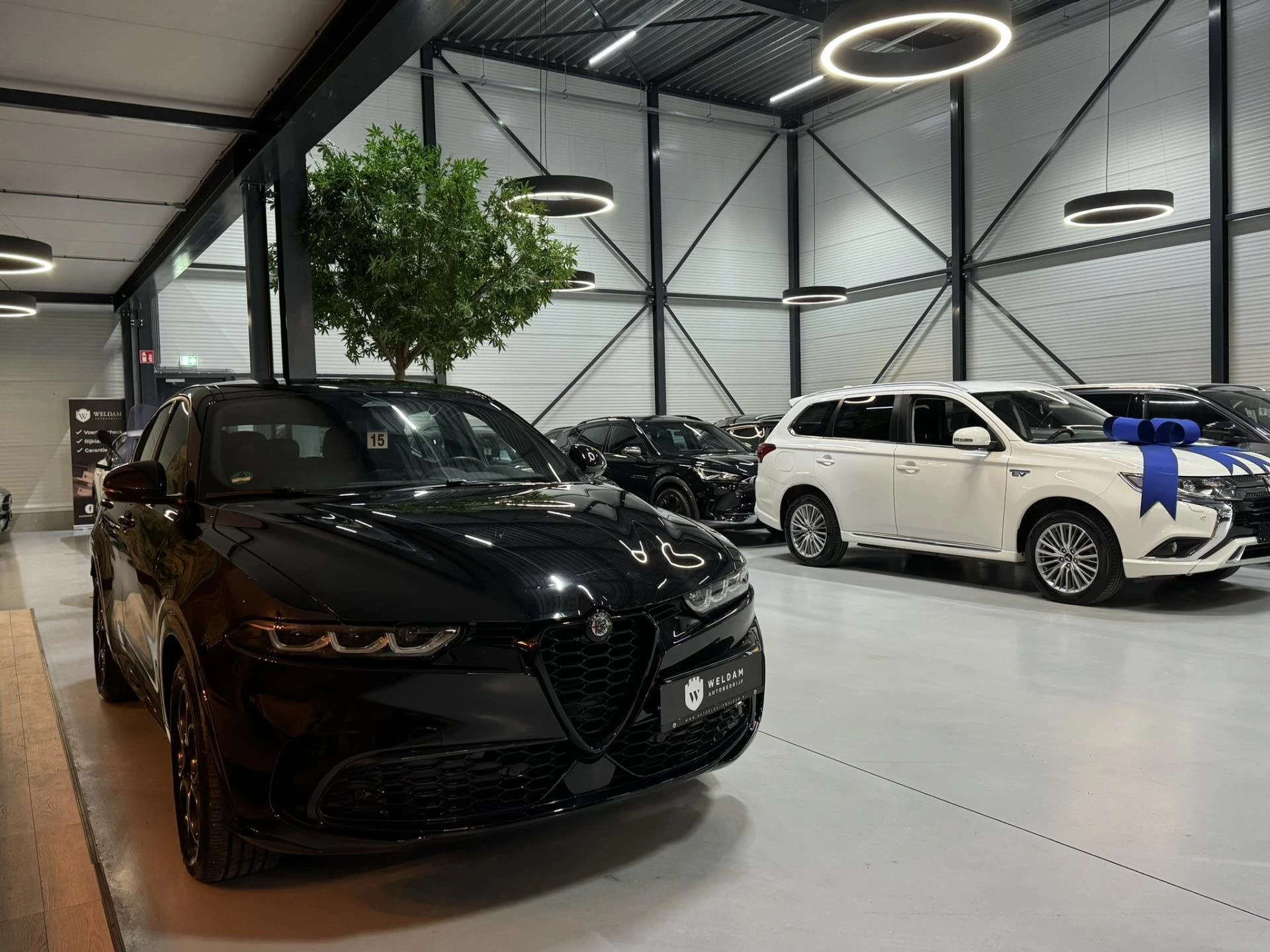 Hoofdafbeelding Alfa Romeo Tonale