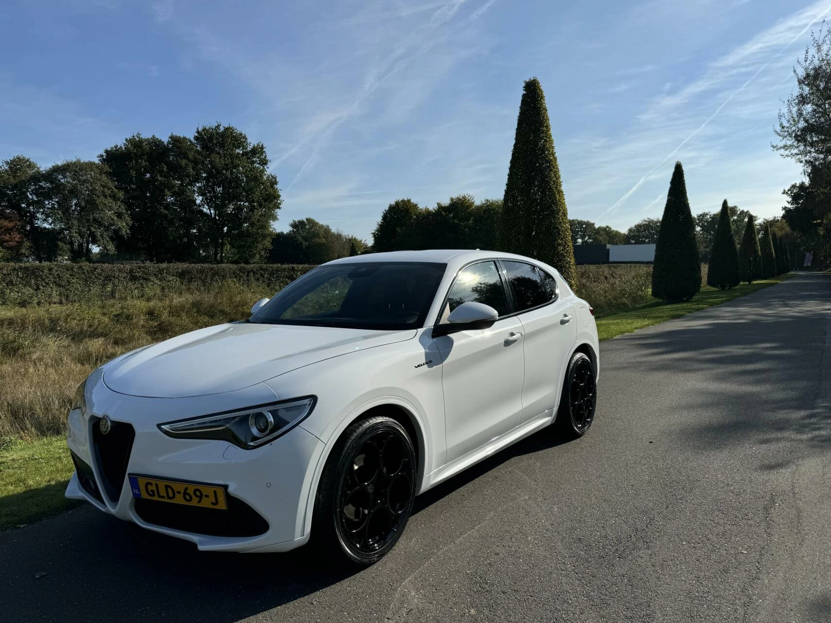 Hoofdafbeelding Alfa Romeo Stelvio