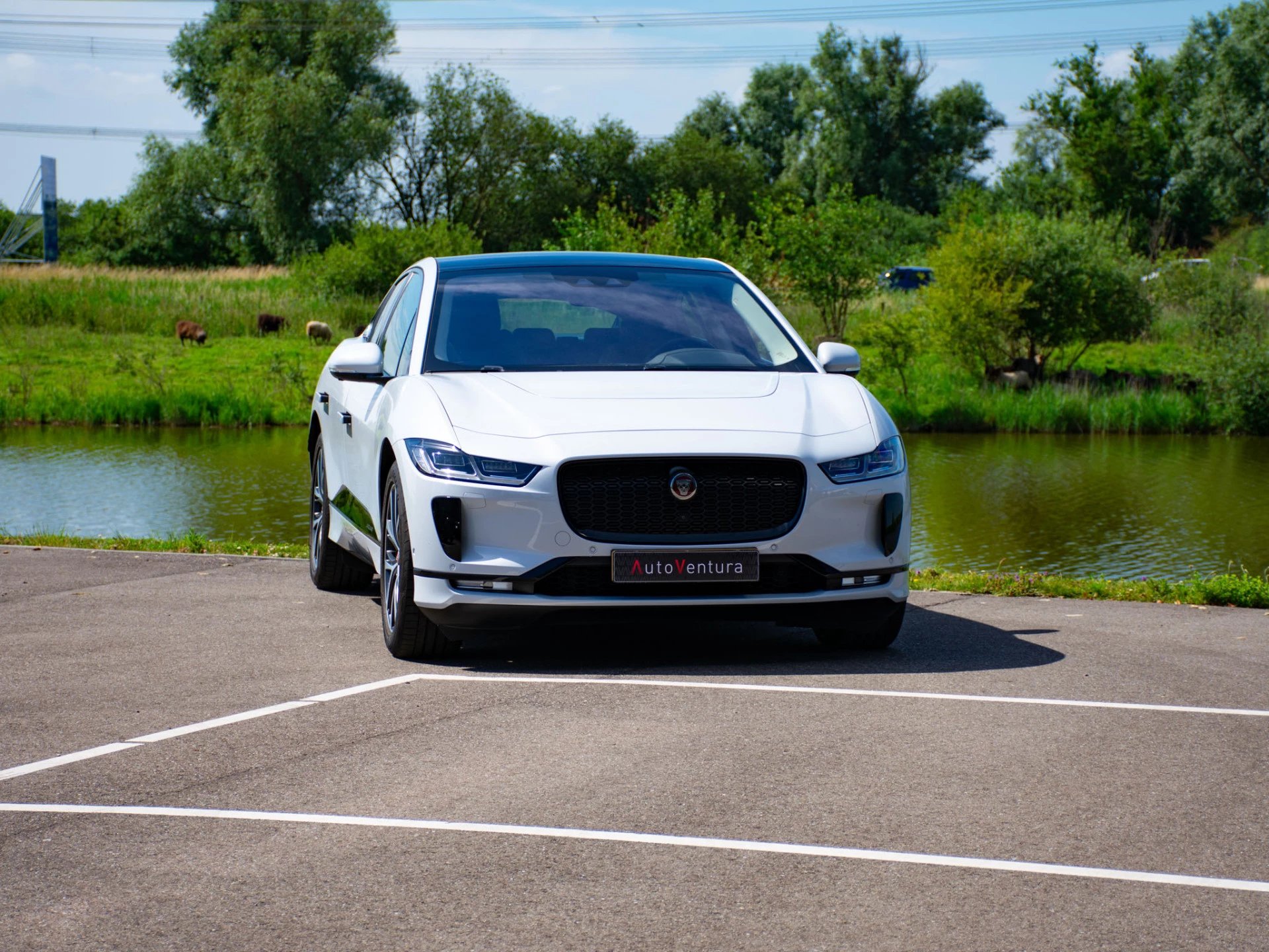 Hoofdafbeelding Jaguar I-PACE