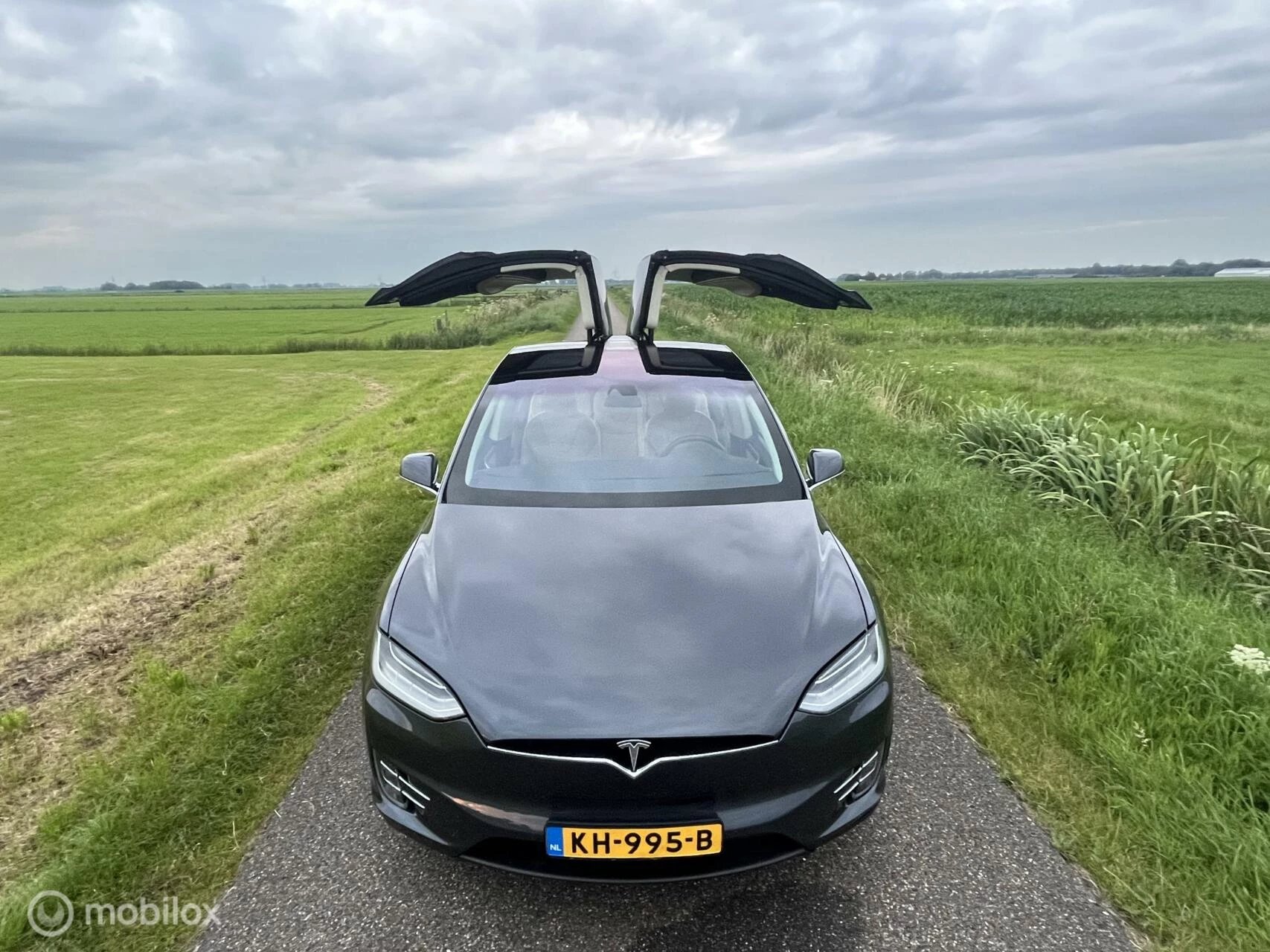 Hoofdafbeelding Tesla Model X