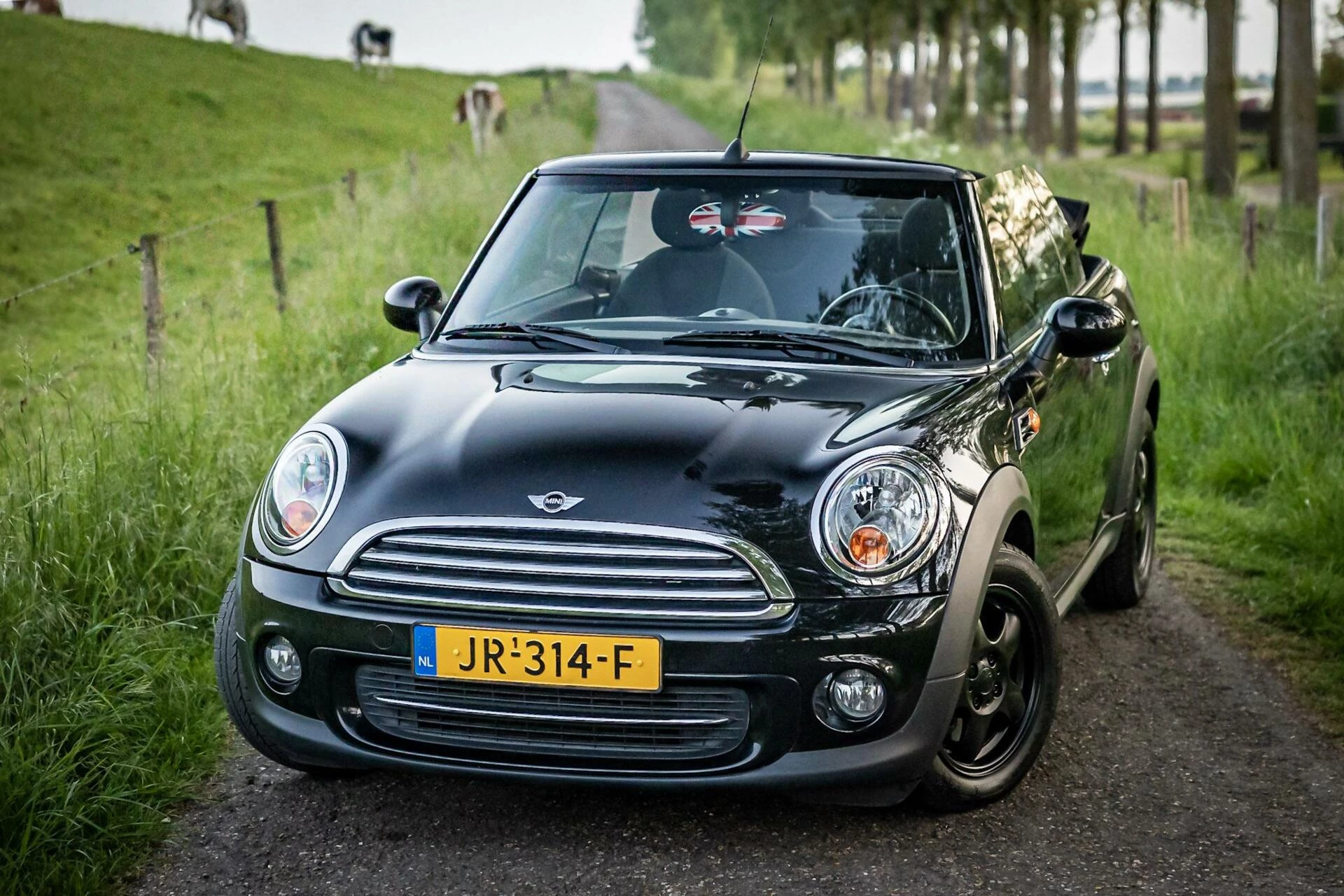 Hoofdafbeelding MINI Cooper Cabrio