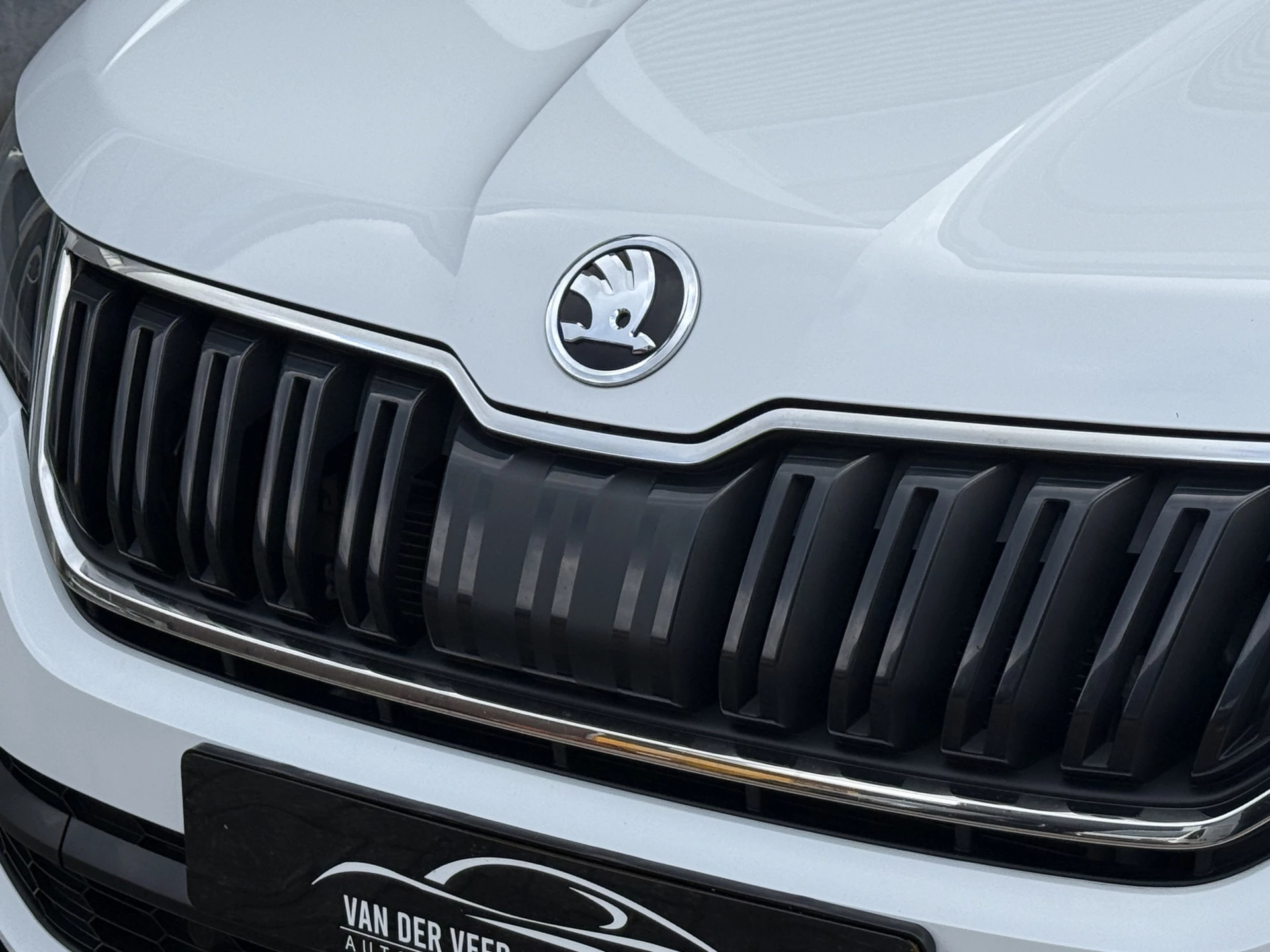 Hoofdafbeelding Škoda Kodiaq