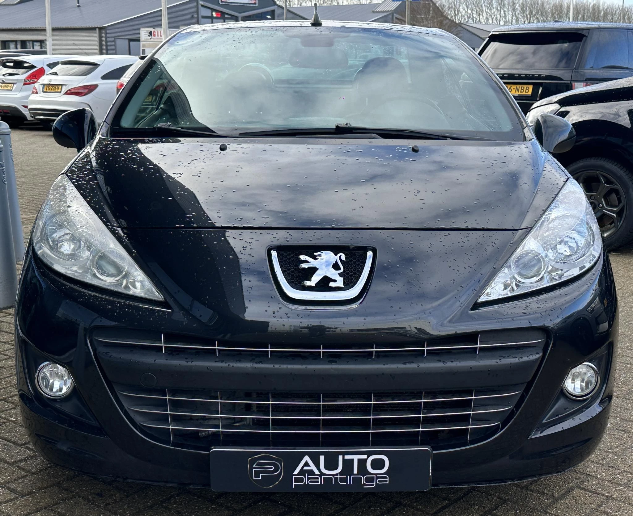 Hoofdafbeelding Peugeot 207