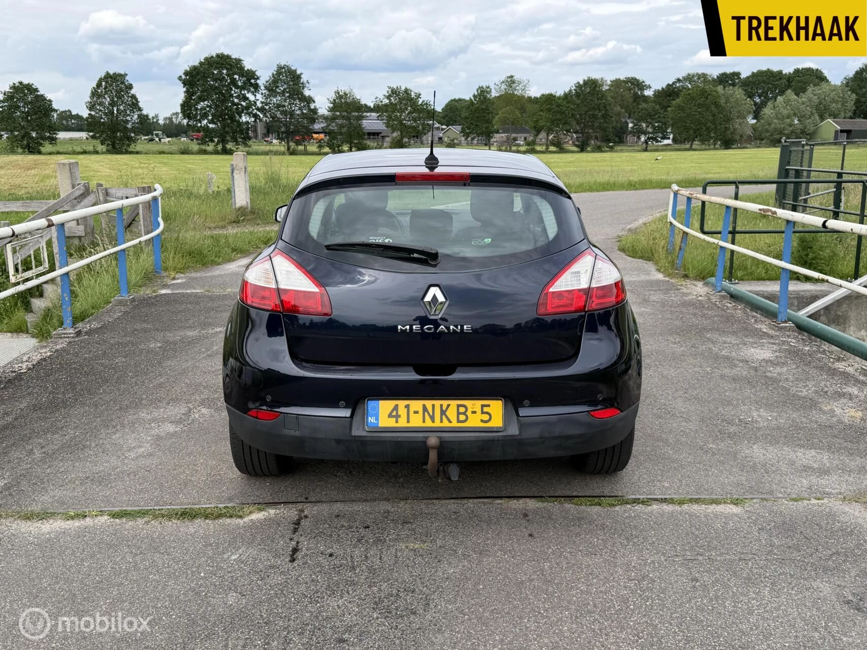 Hoofdafbeelding Renault Mégane