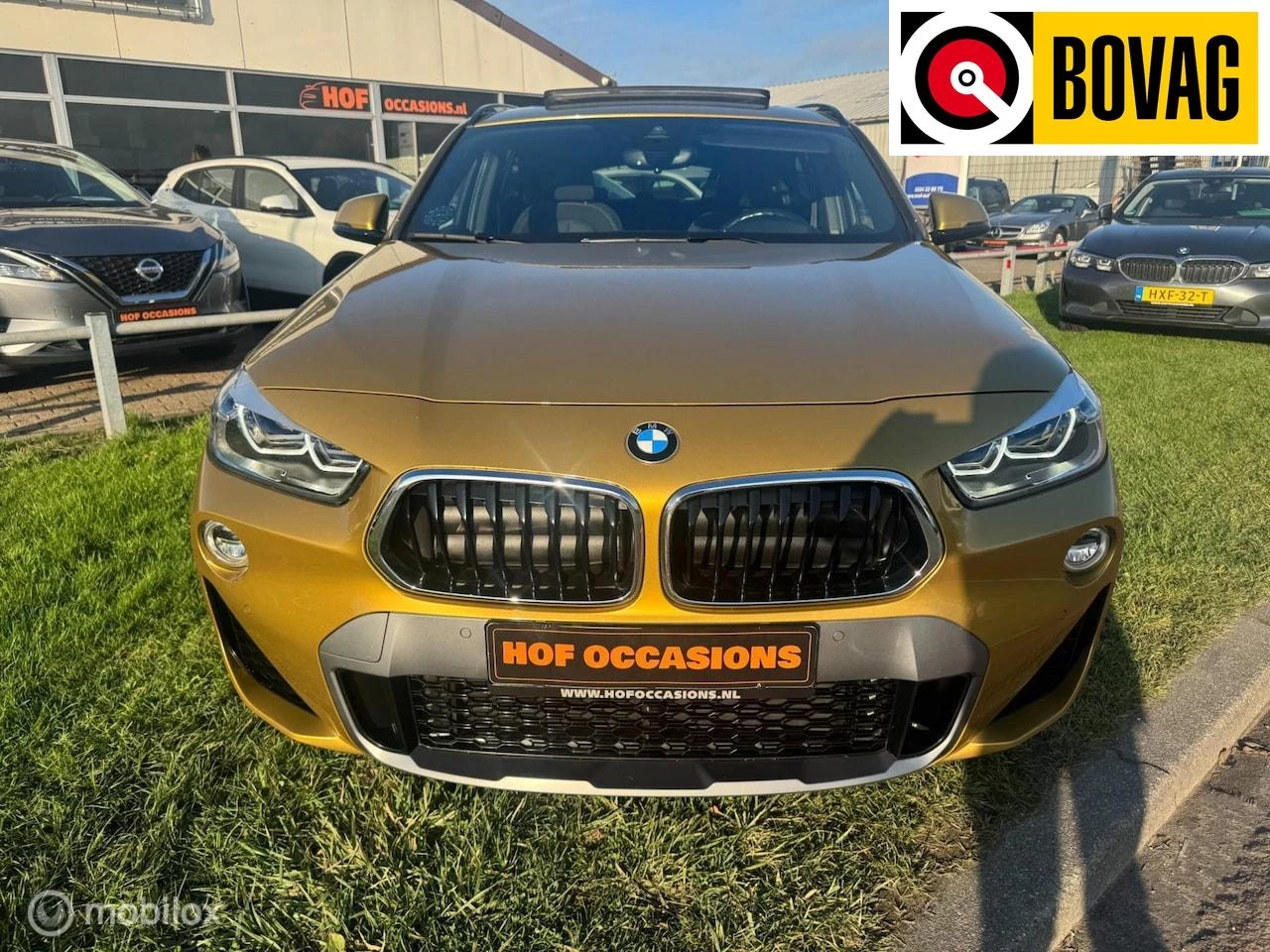 Hoofdafbeelding BMW X2