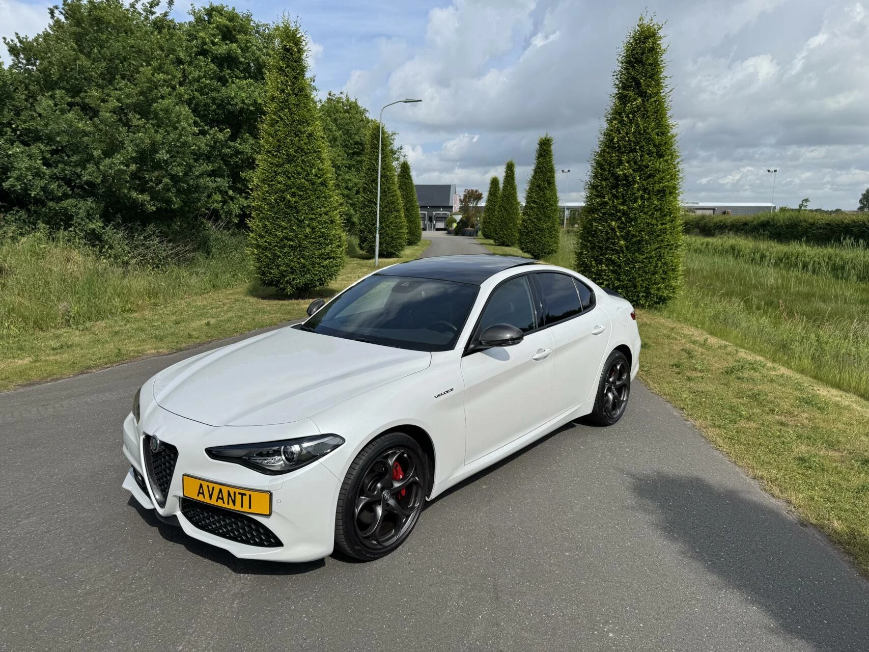 Hoofdafbeelding Alfa Romeo Giulia