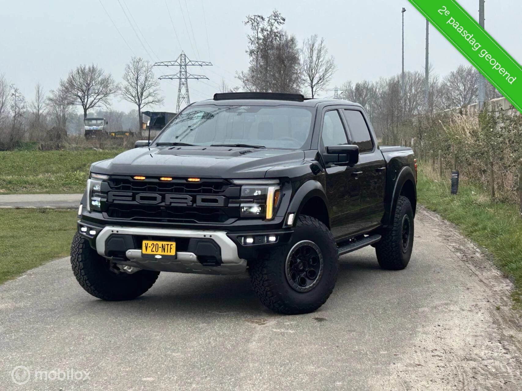 Hoofdafbeelding Ford F-150