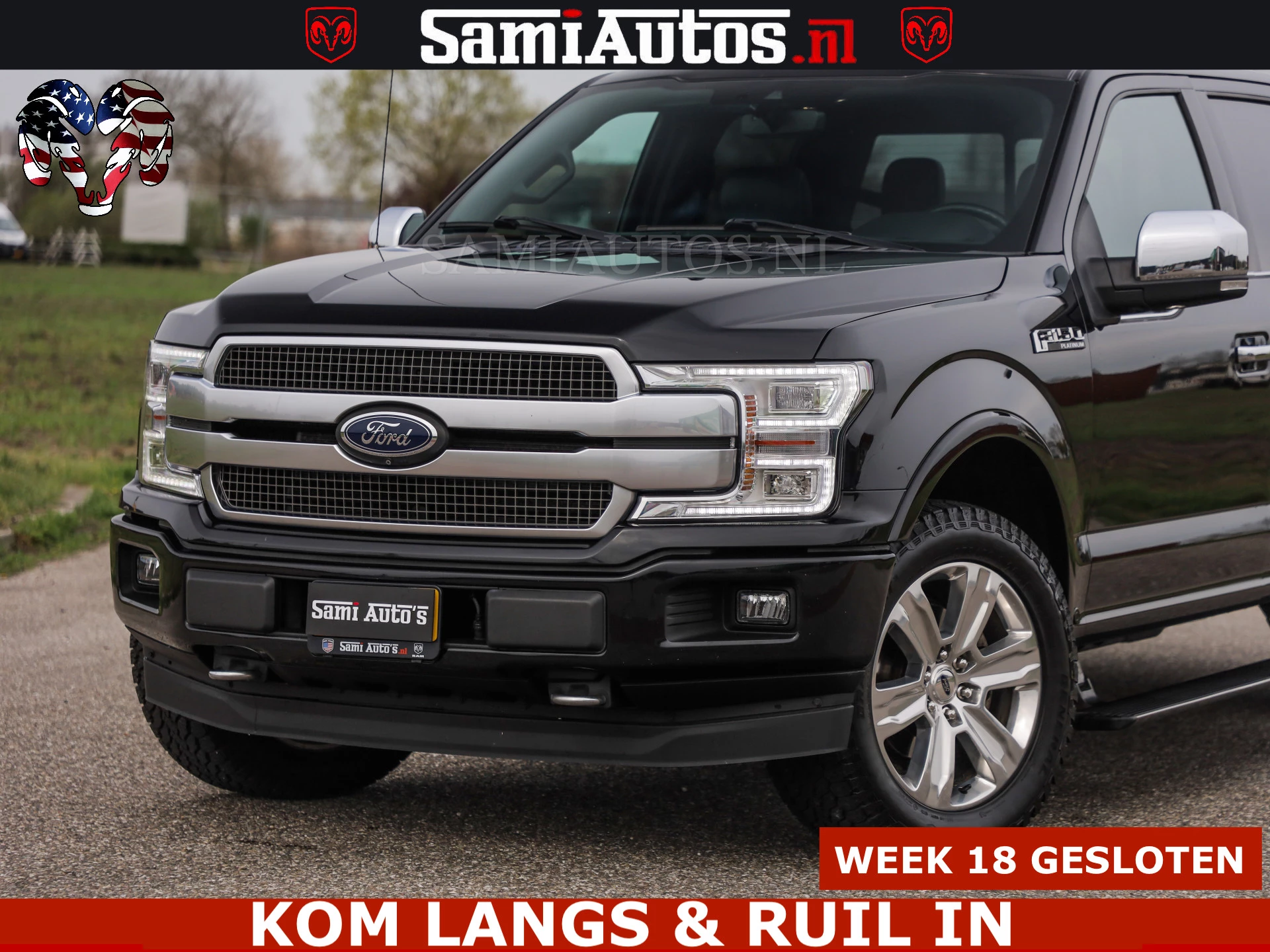 Hoofdafbeelding Ford F-150
