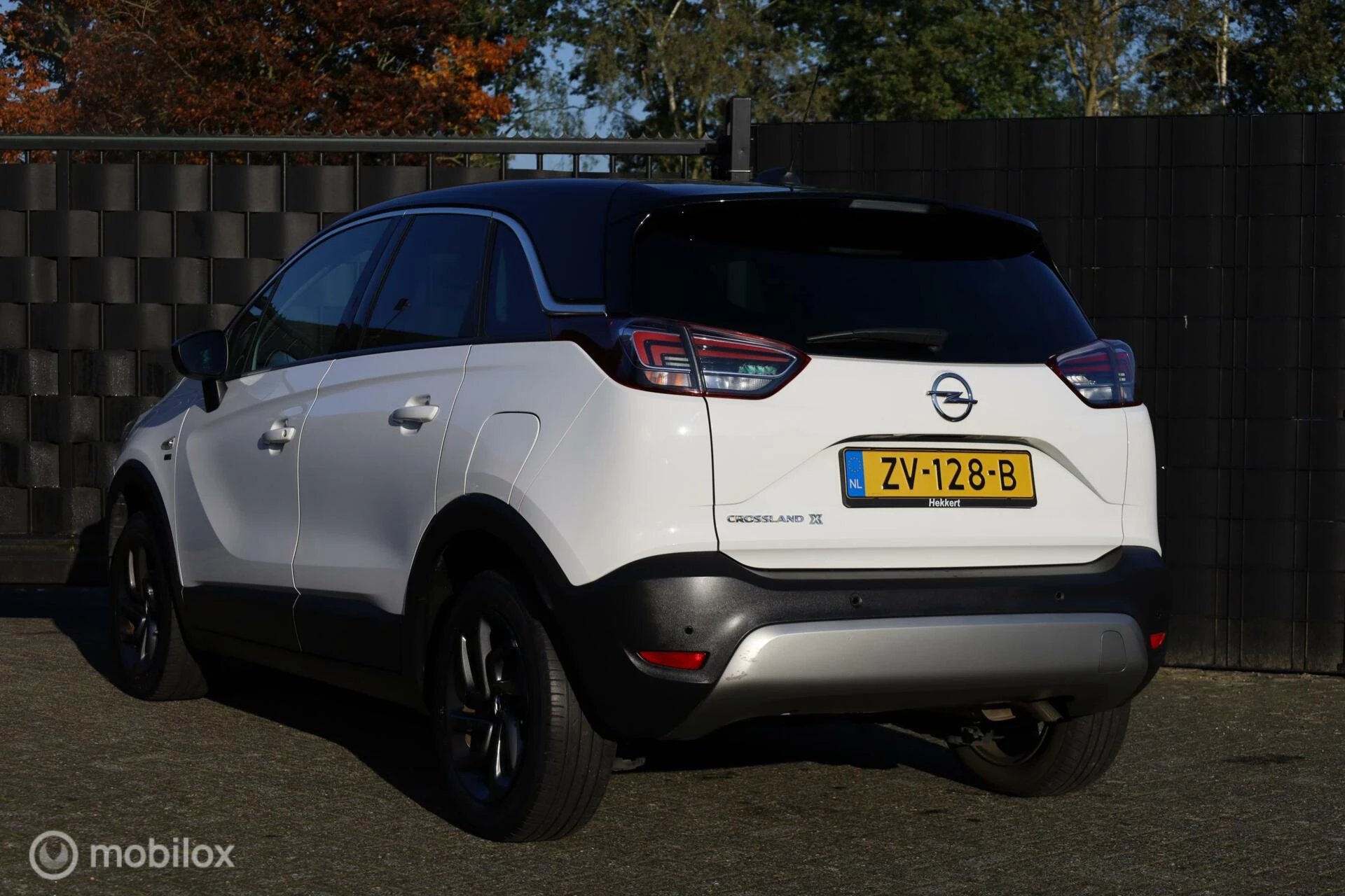 Hoofdafbeelding Opel Crossland X