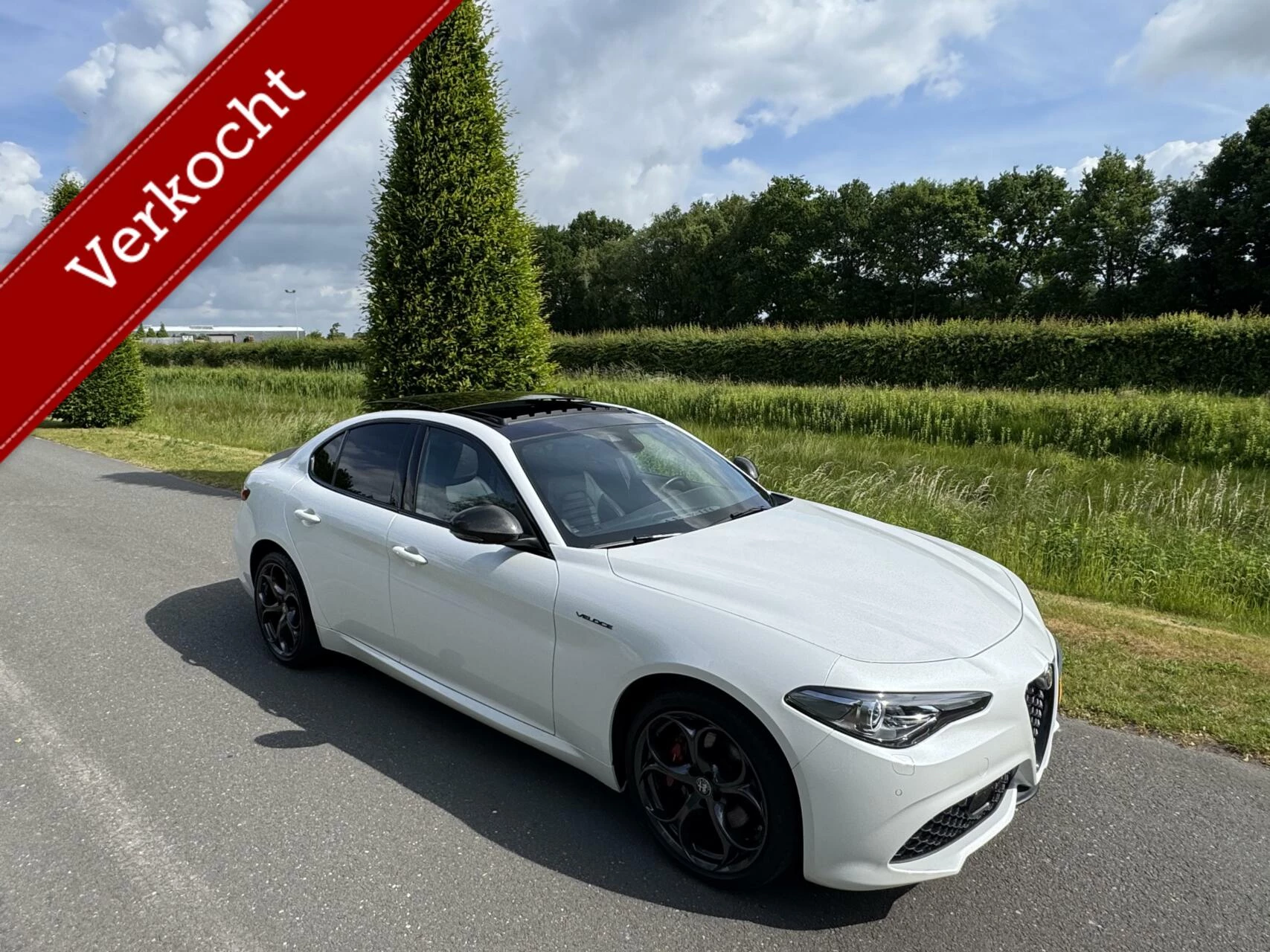 Hoofdafbeelding Alfa Romeo Giulia