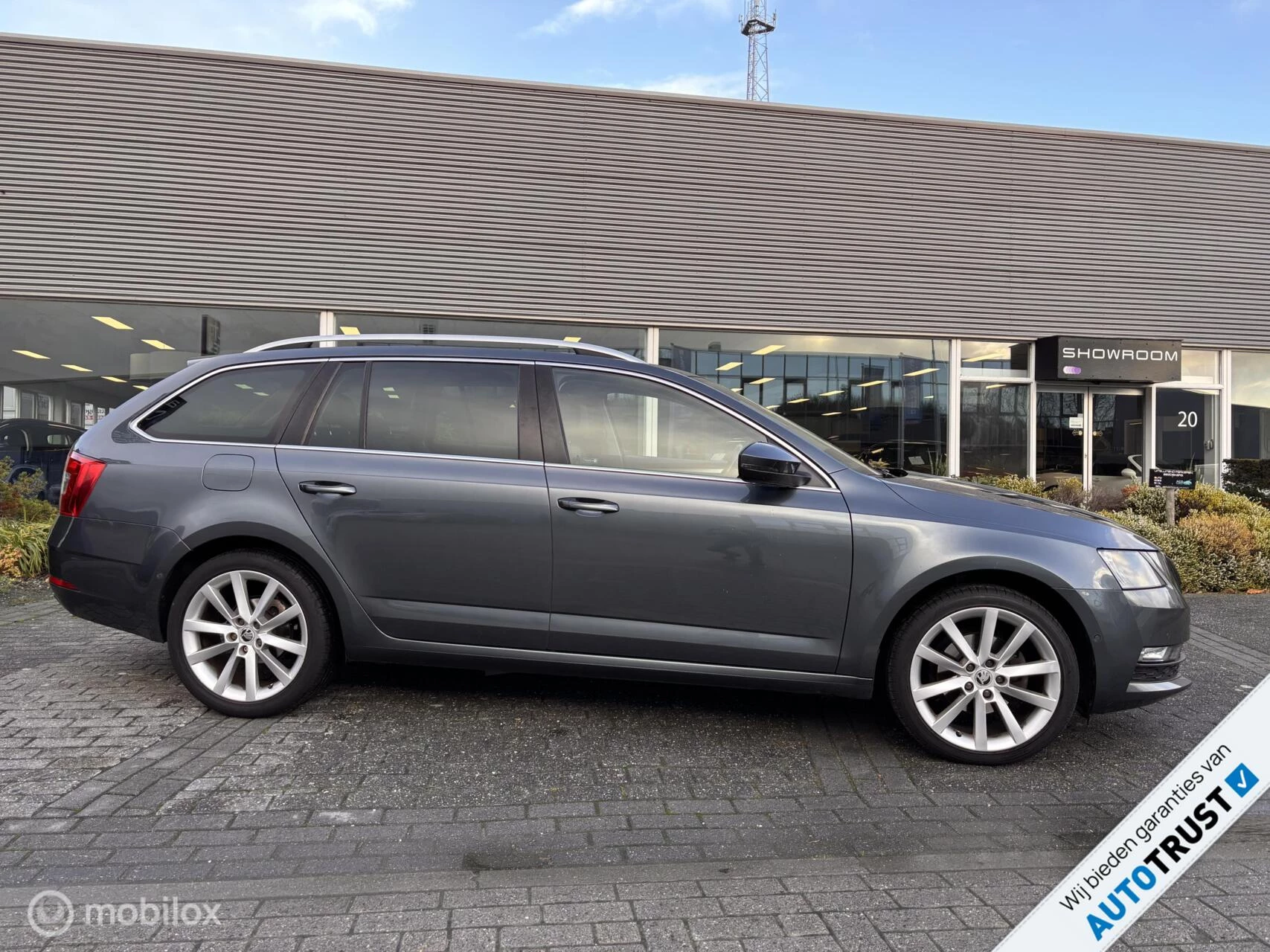 Hoofdafbeelding Škoda Octavia