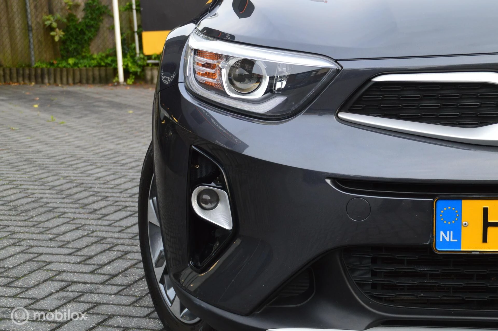Hoofdafbeelding Kia Stonic