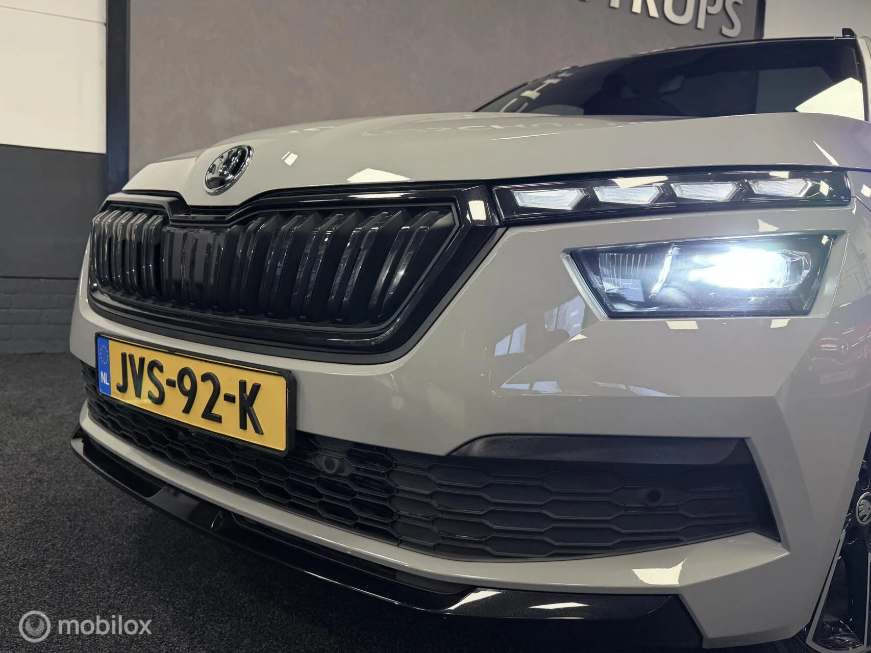 Hoofdafbeelding Škoda Kamiq