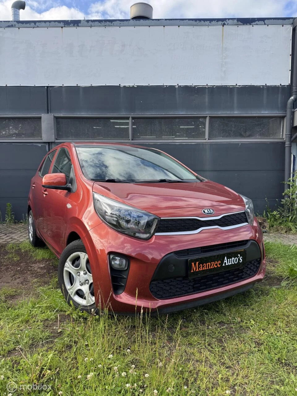Hoofdafbeelding Kia Picanto