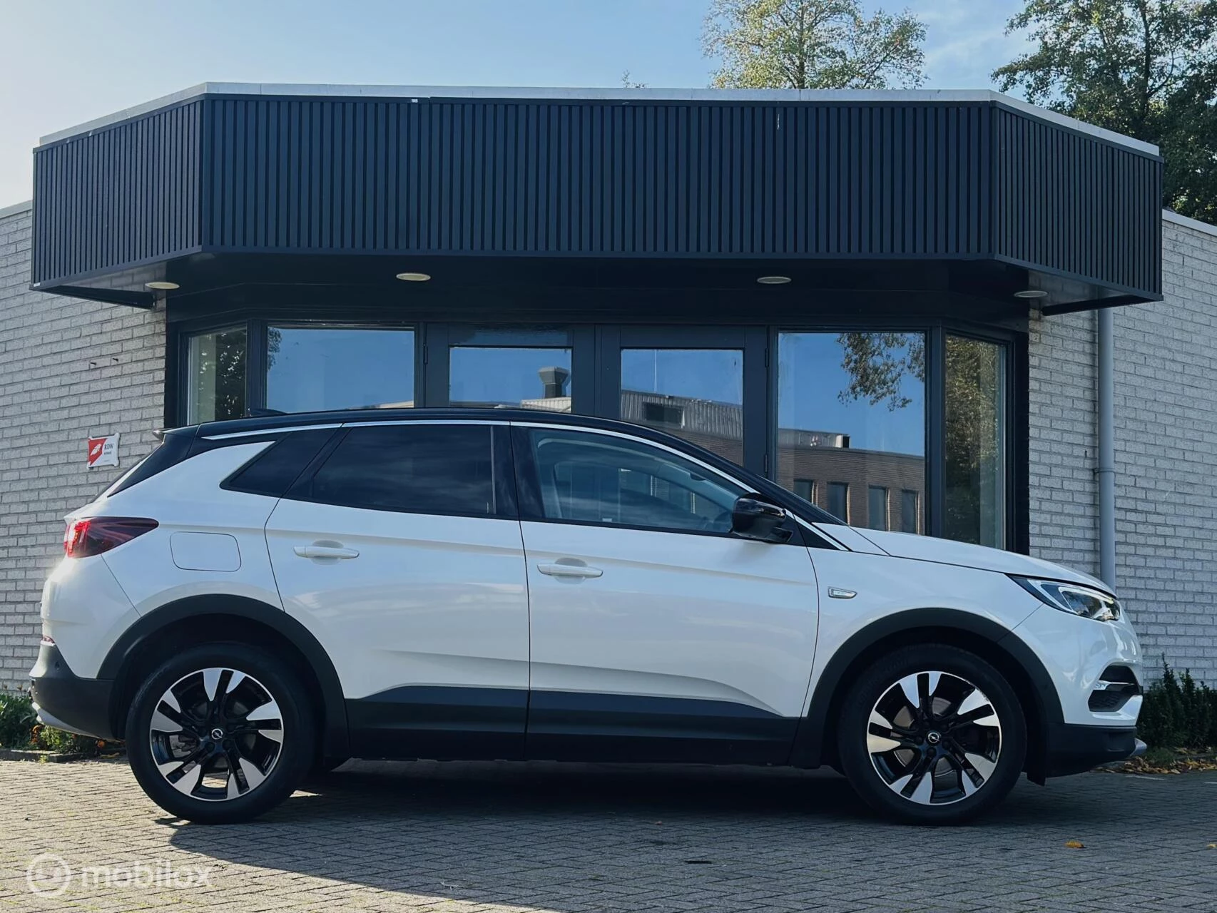 Hoofdafbeelding Opel Grandland X
