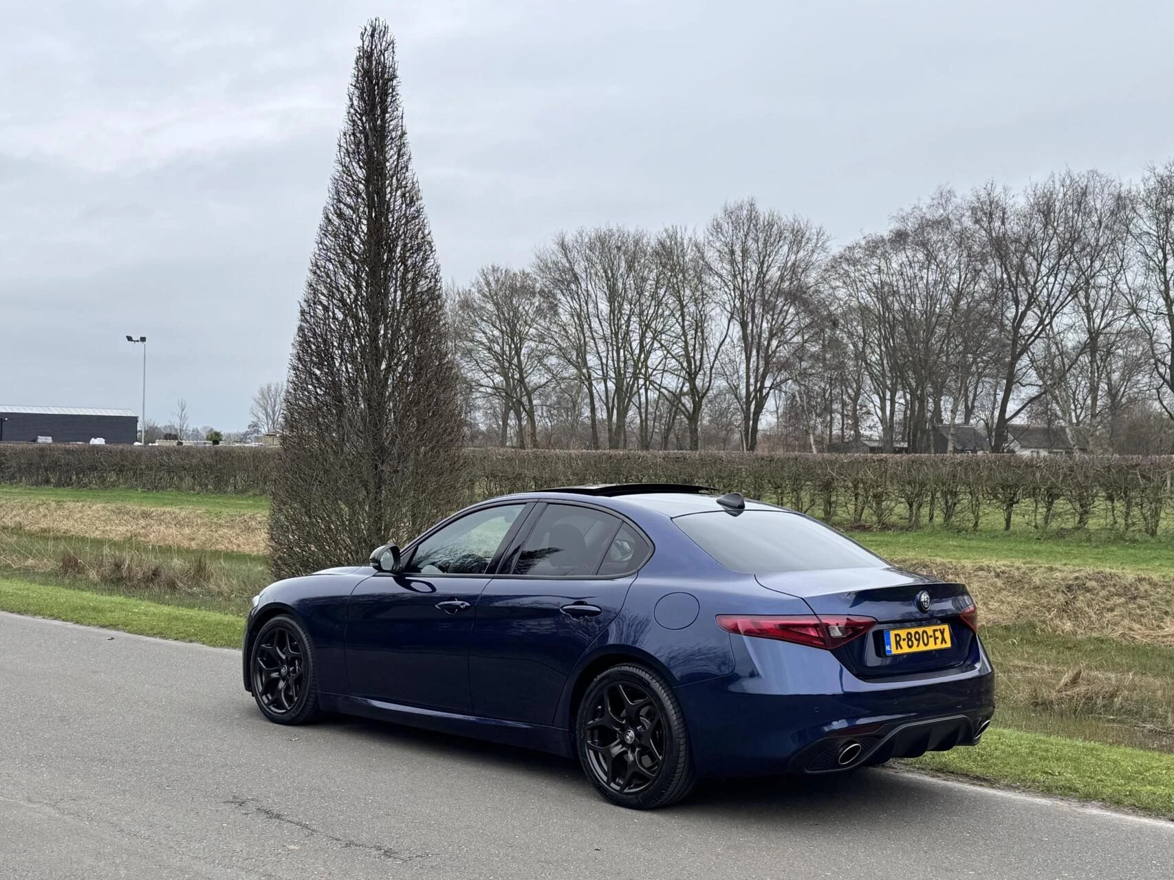 Hoofdafbeelding Alfa Romeo Giulia