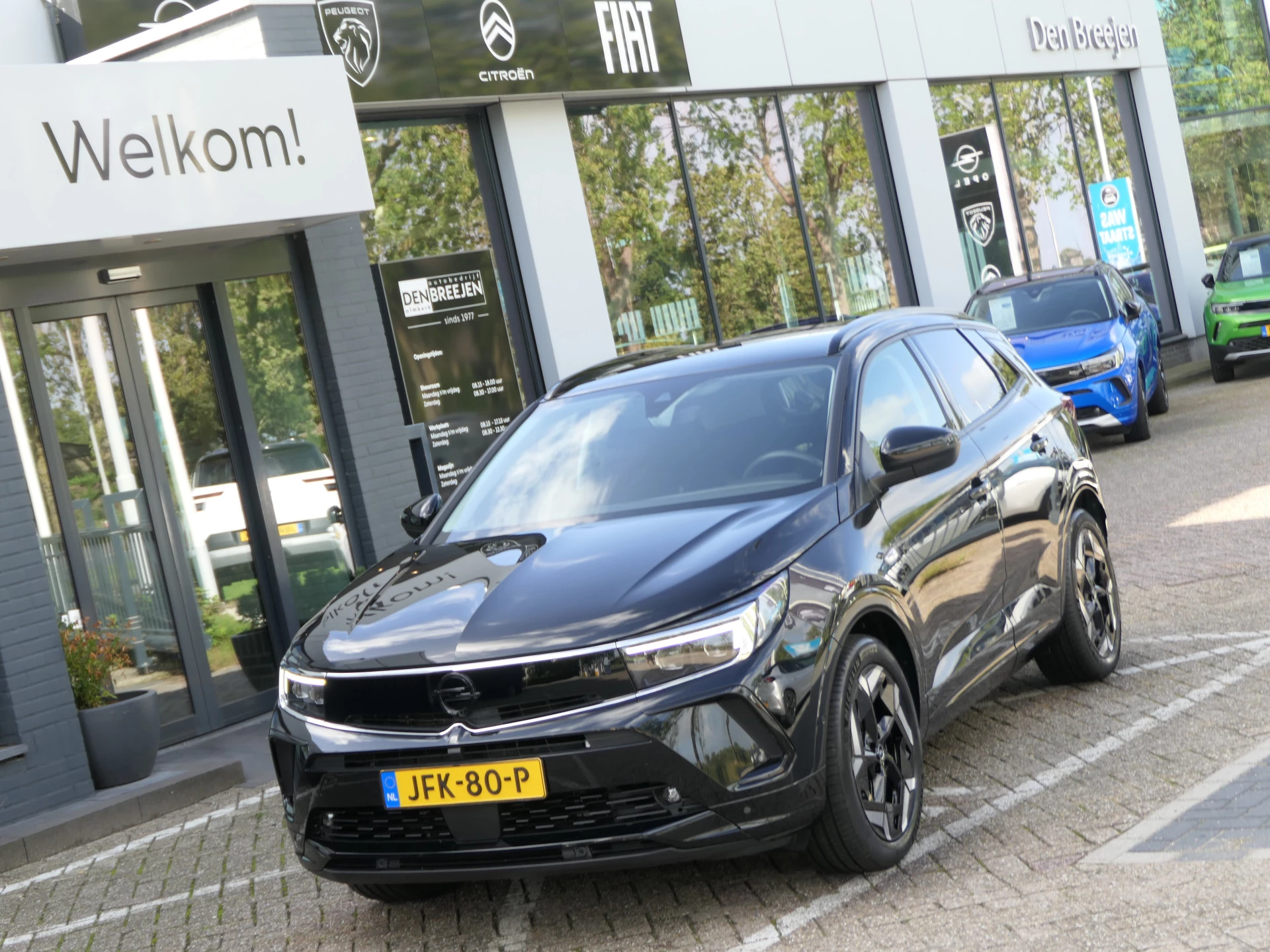 Hoofdafbeelding Opel Grandland