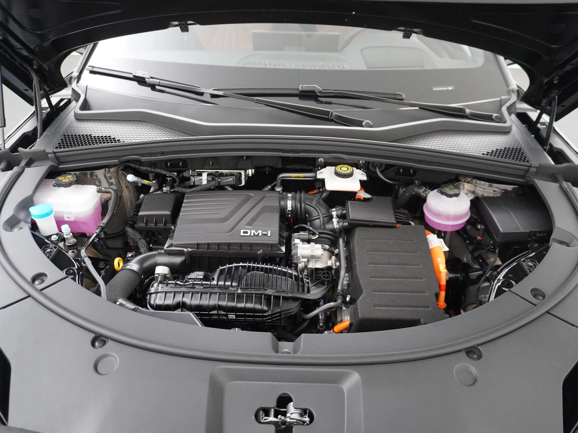 Hoofdafbeelding BYD SEAL U