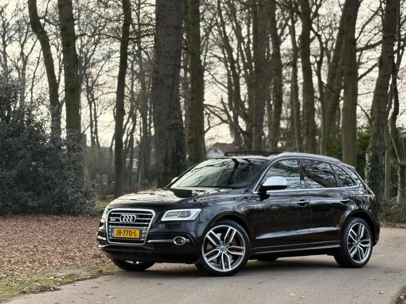 Hoofdafbeelding Audi SQ5