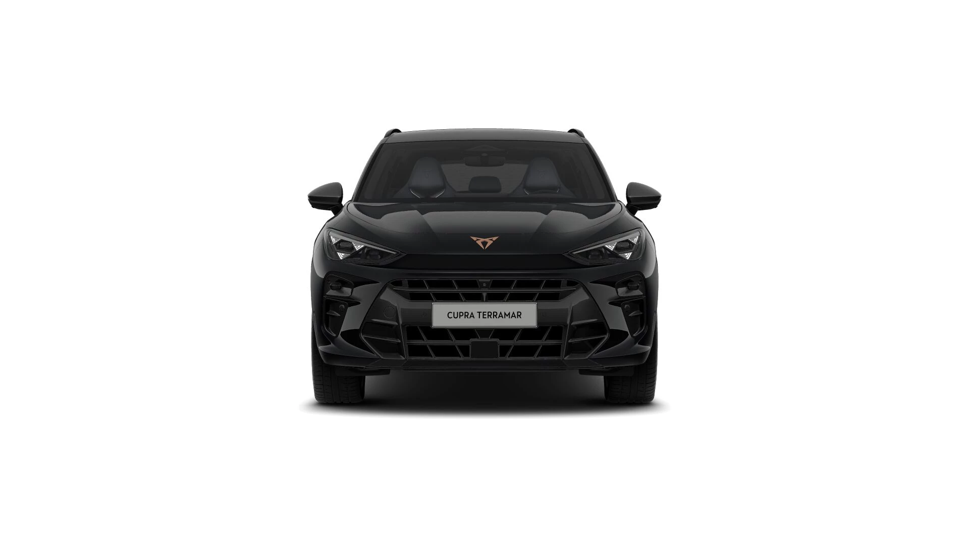 Hoofdafbeelding CUPRA Terramar