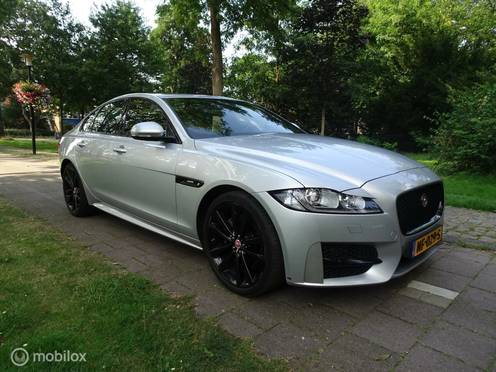 Hoofdafbeelding Jaguar XF