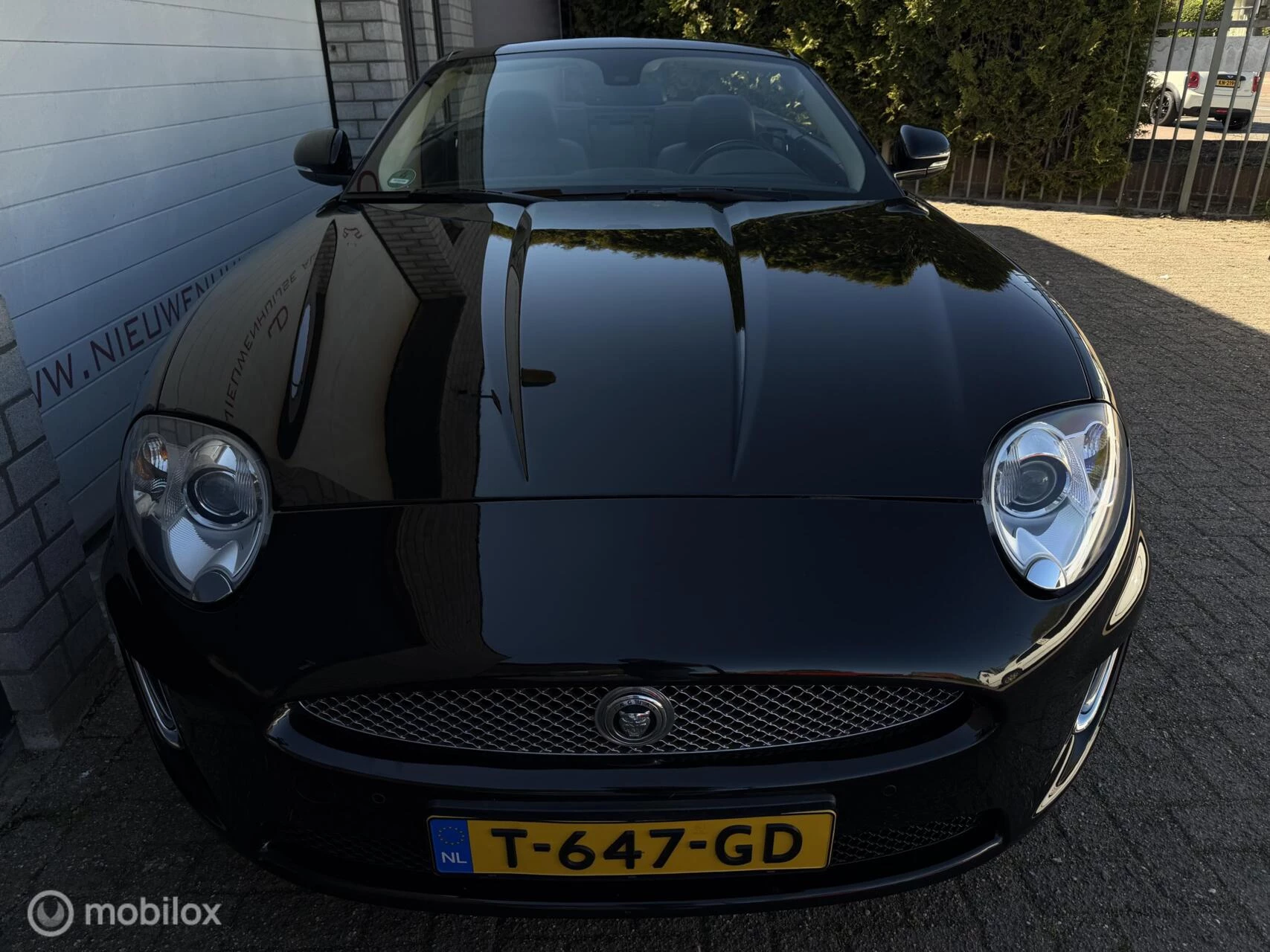Hoofdafbeelding Jaguar XK