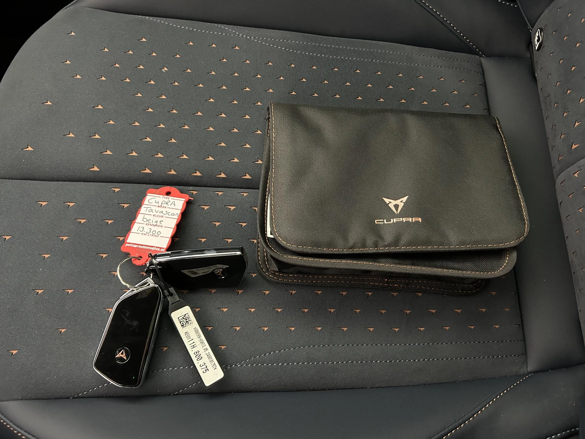 Hoofdafbeelding CUPRA Tavascan