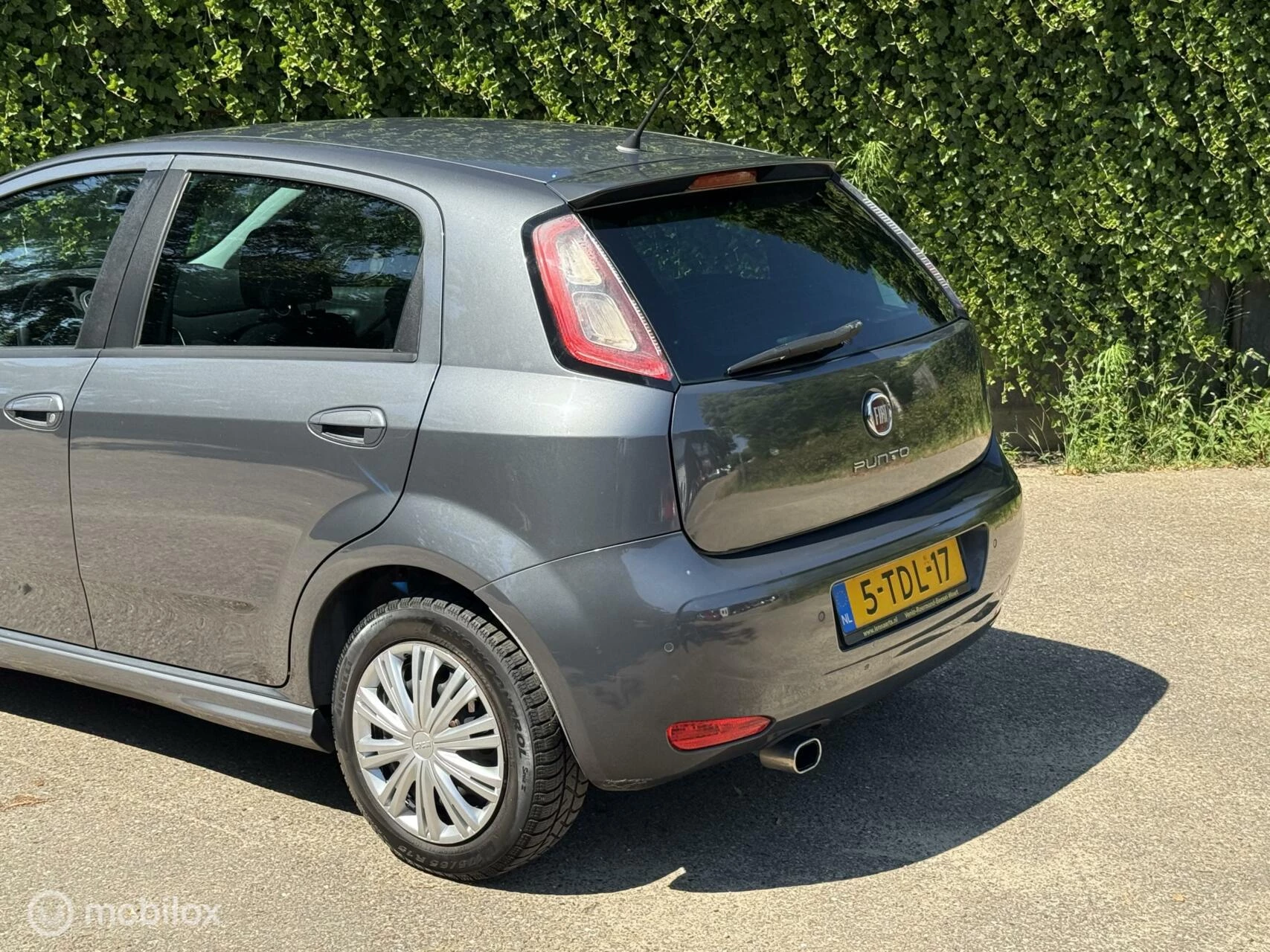 Hoofdafbeelding Fiat Punto