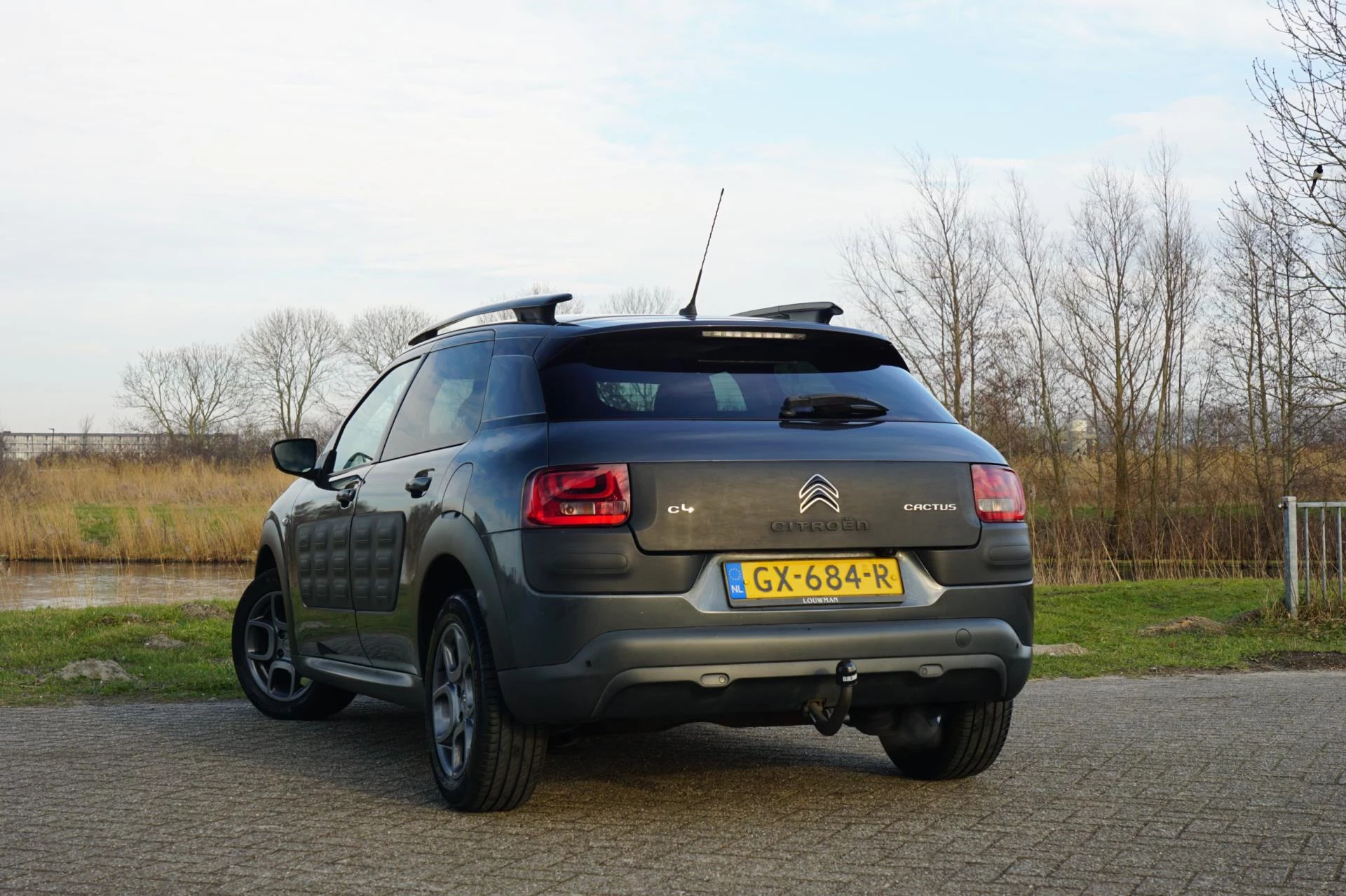 Hoofdafbeelding Citroën C4 Cactus