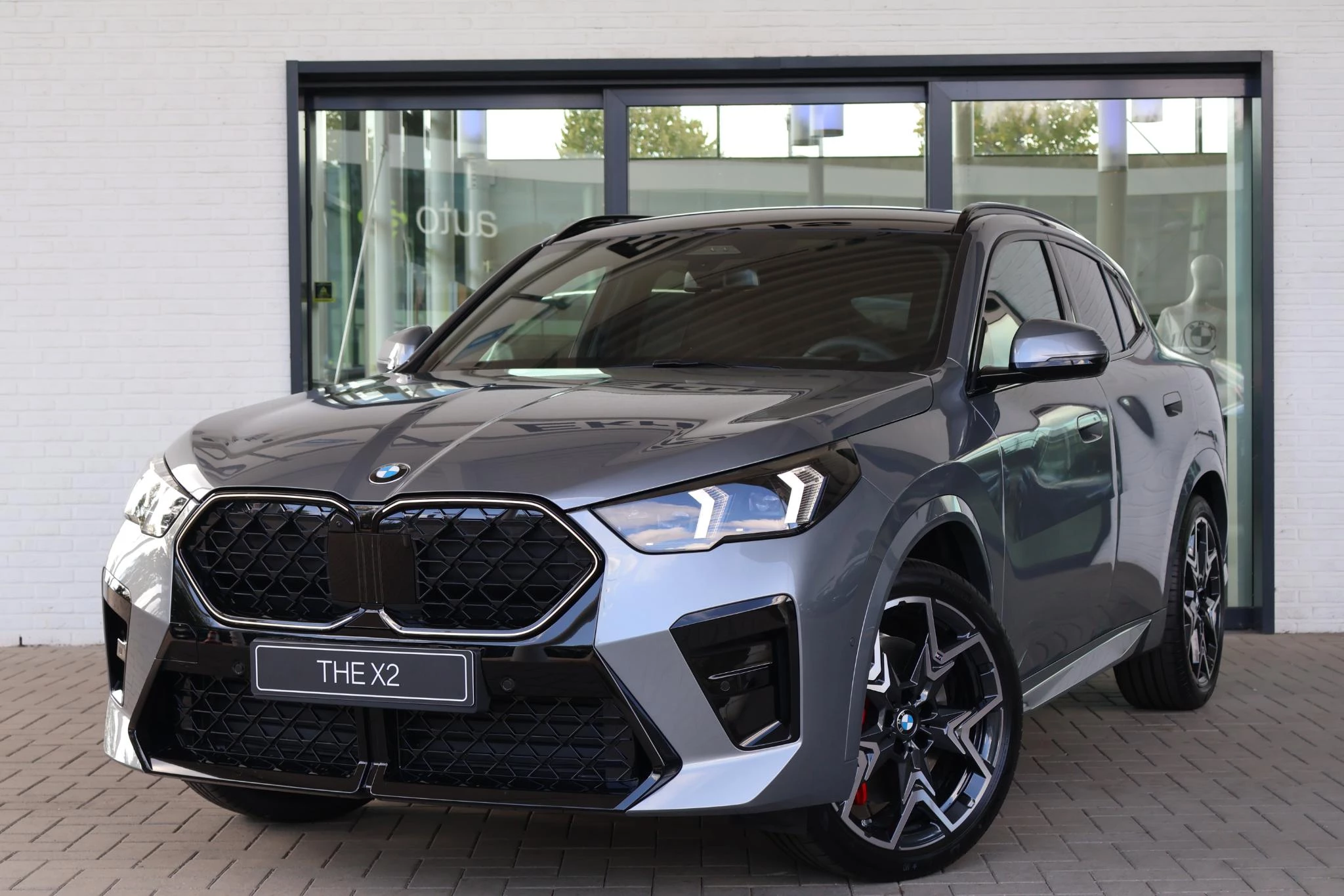 Hoofdafbeelding BMW X2