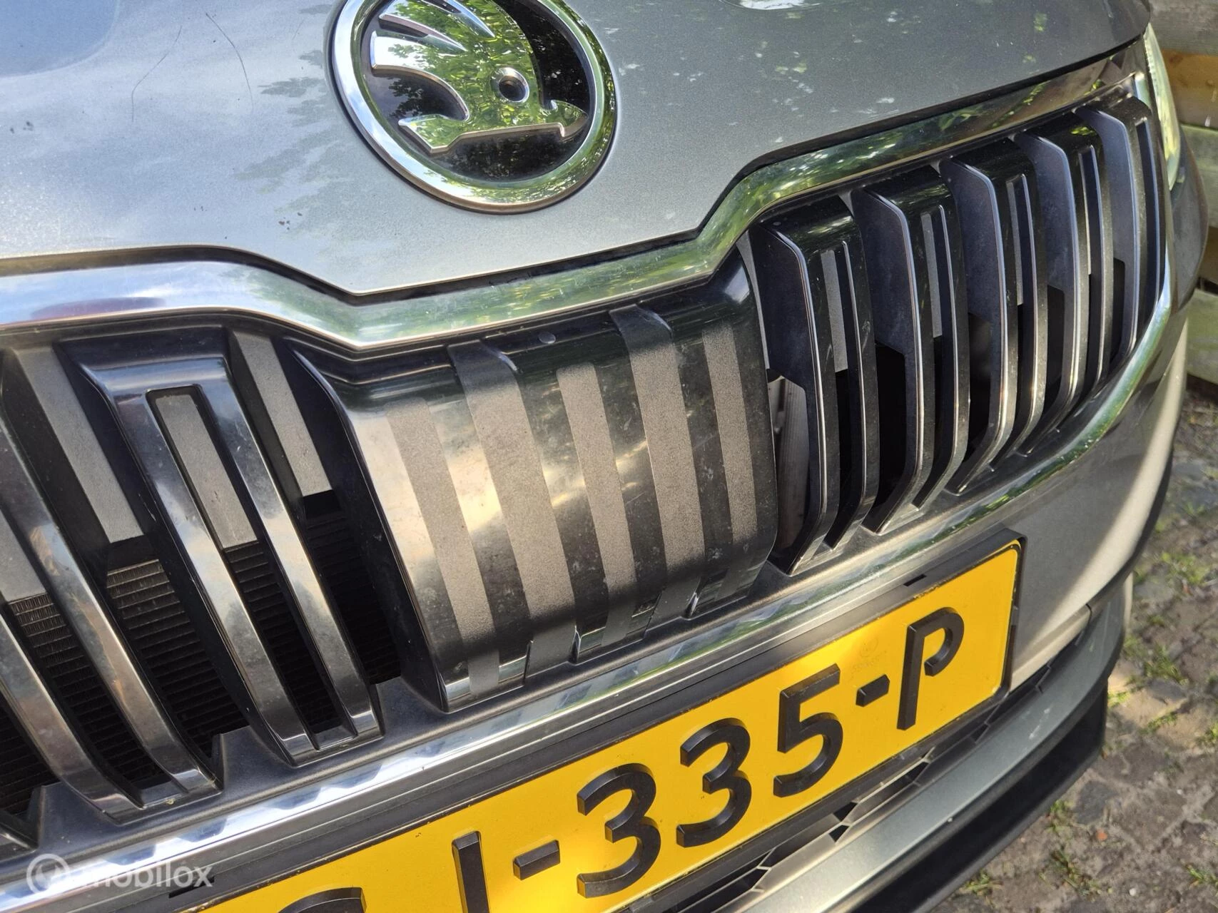 Hoofdafbeelding Škoda Karoq