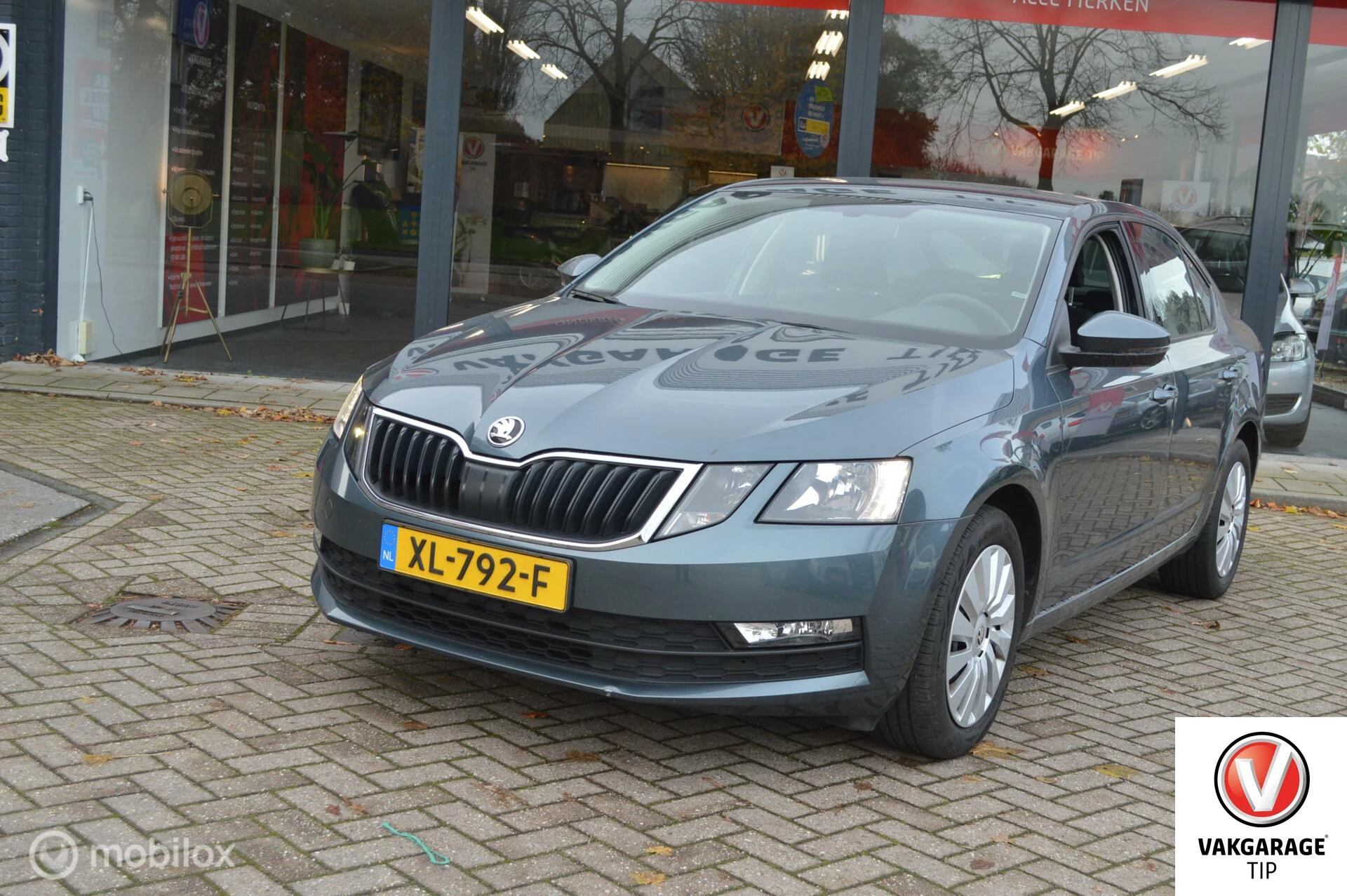 Hoofdafbeelding Škoda Octavia