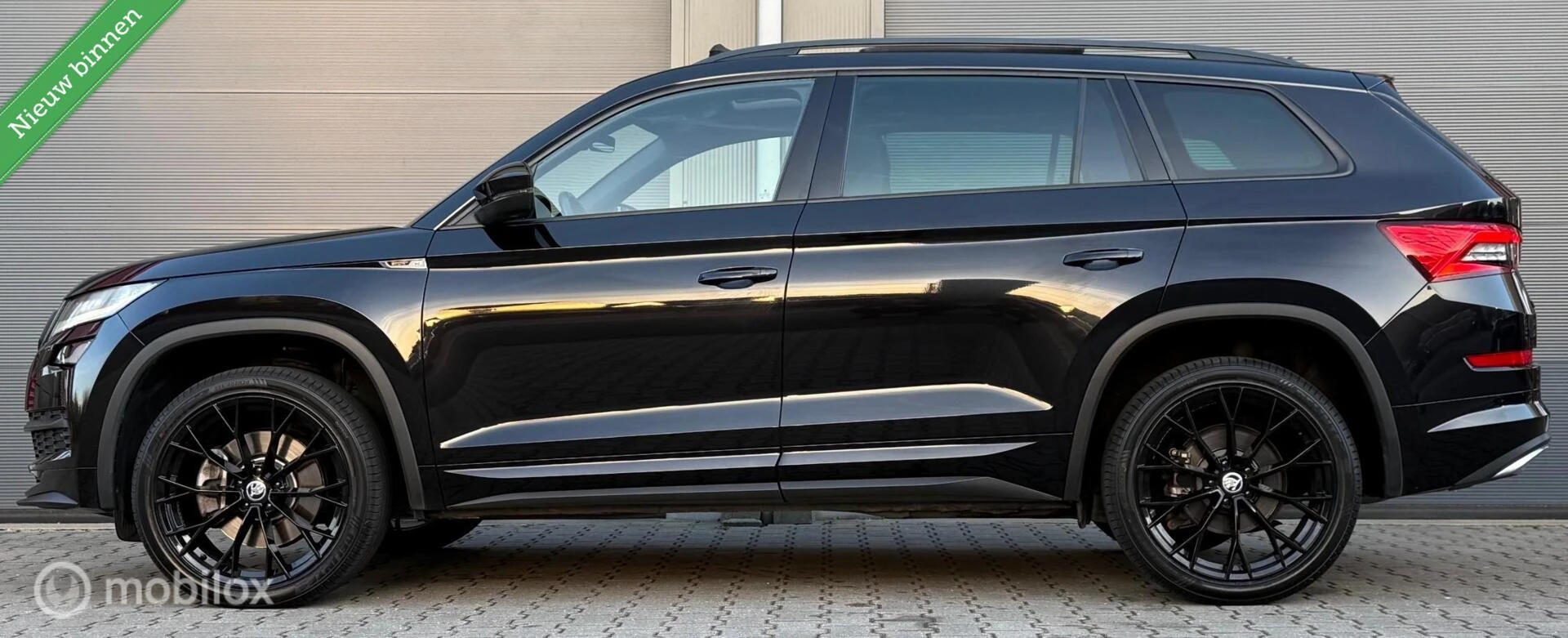 Hoofdafbeelding Škoda Kodiaq