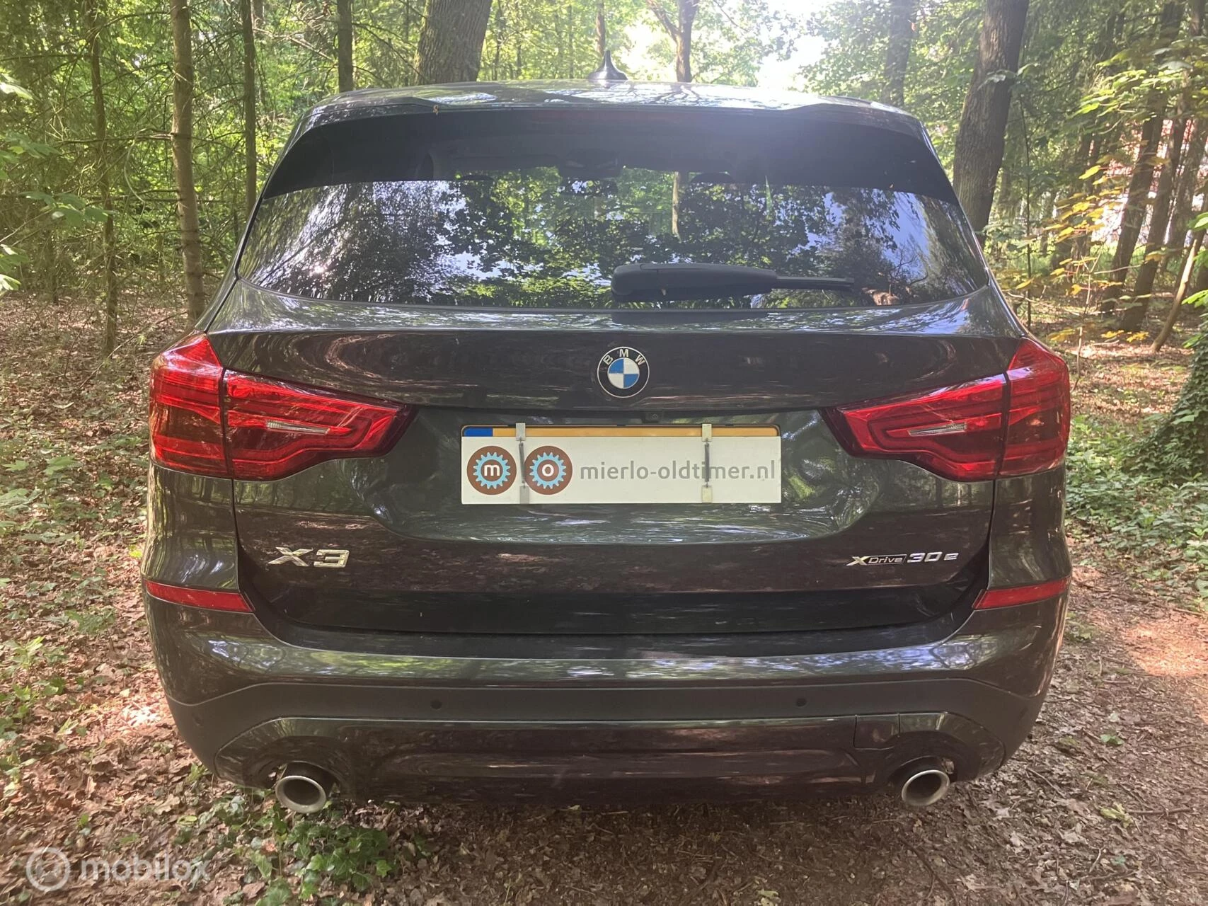 Hoofdafbeelding BMW X3