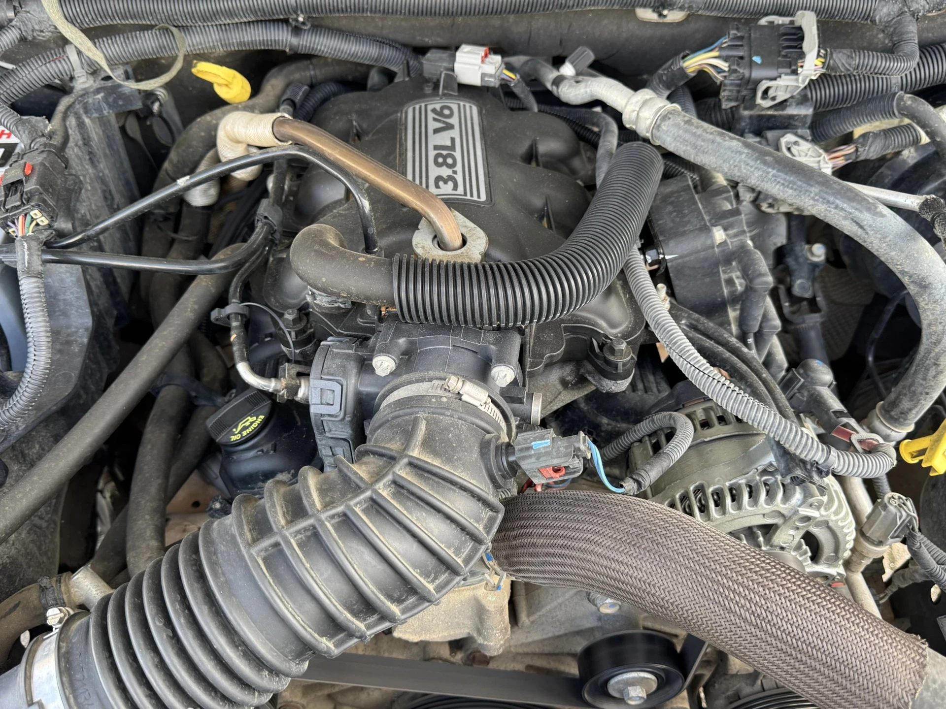 Hoofdafbeelding Jeep Wrangler