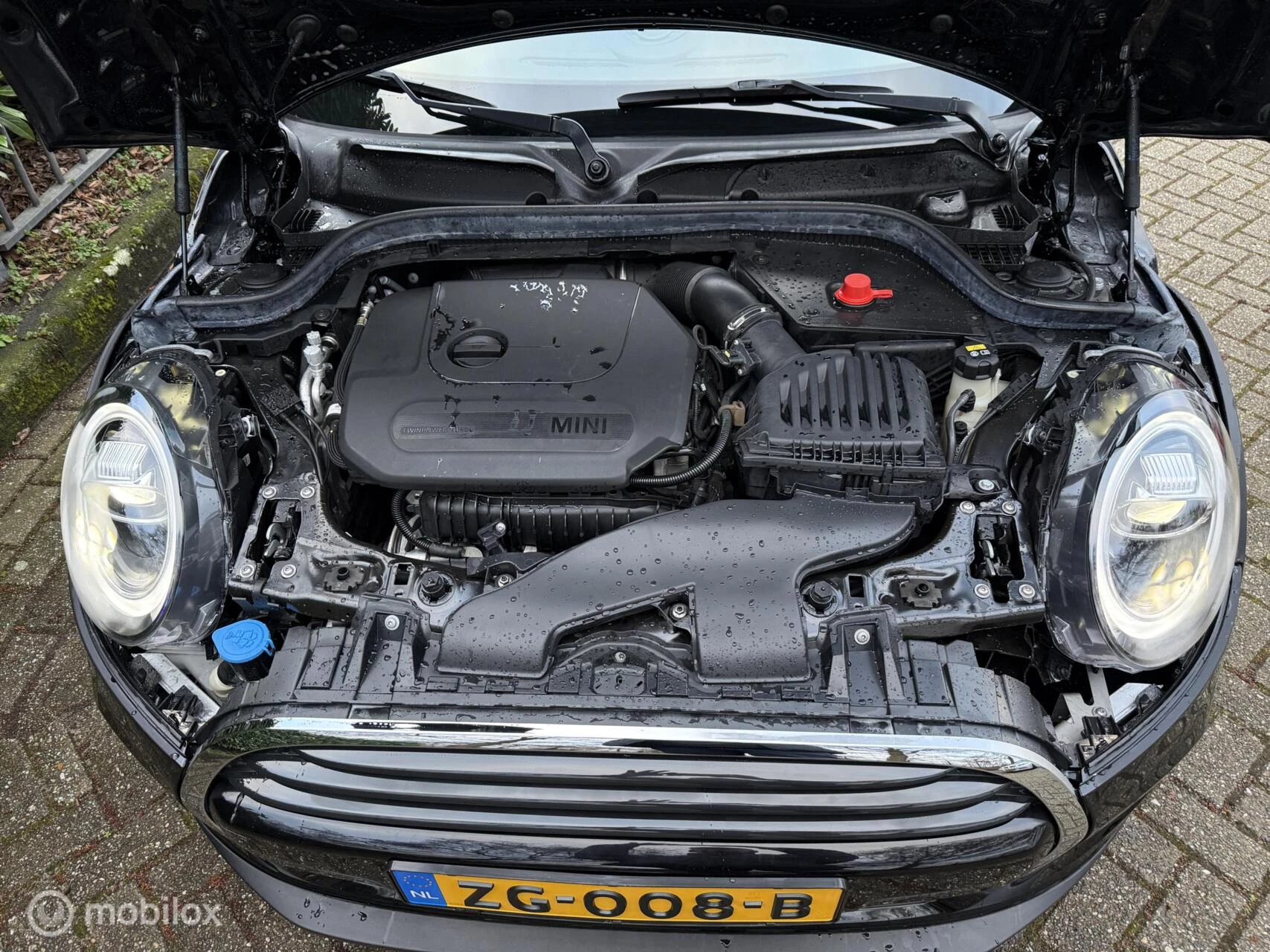 Hoofdafbeelding MINI Cooper Cabrio