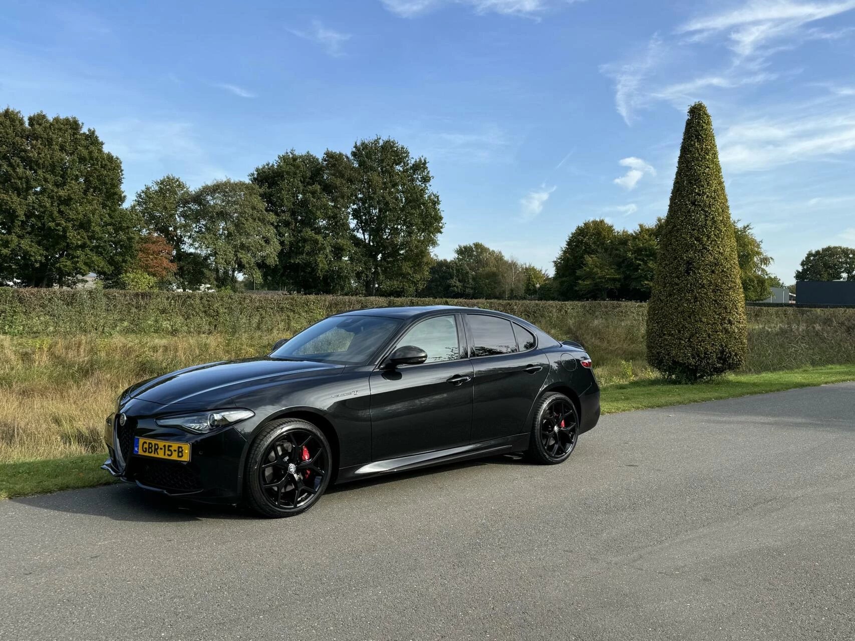 Hoofdafbeelding Alfa Romeo Giulia