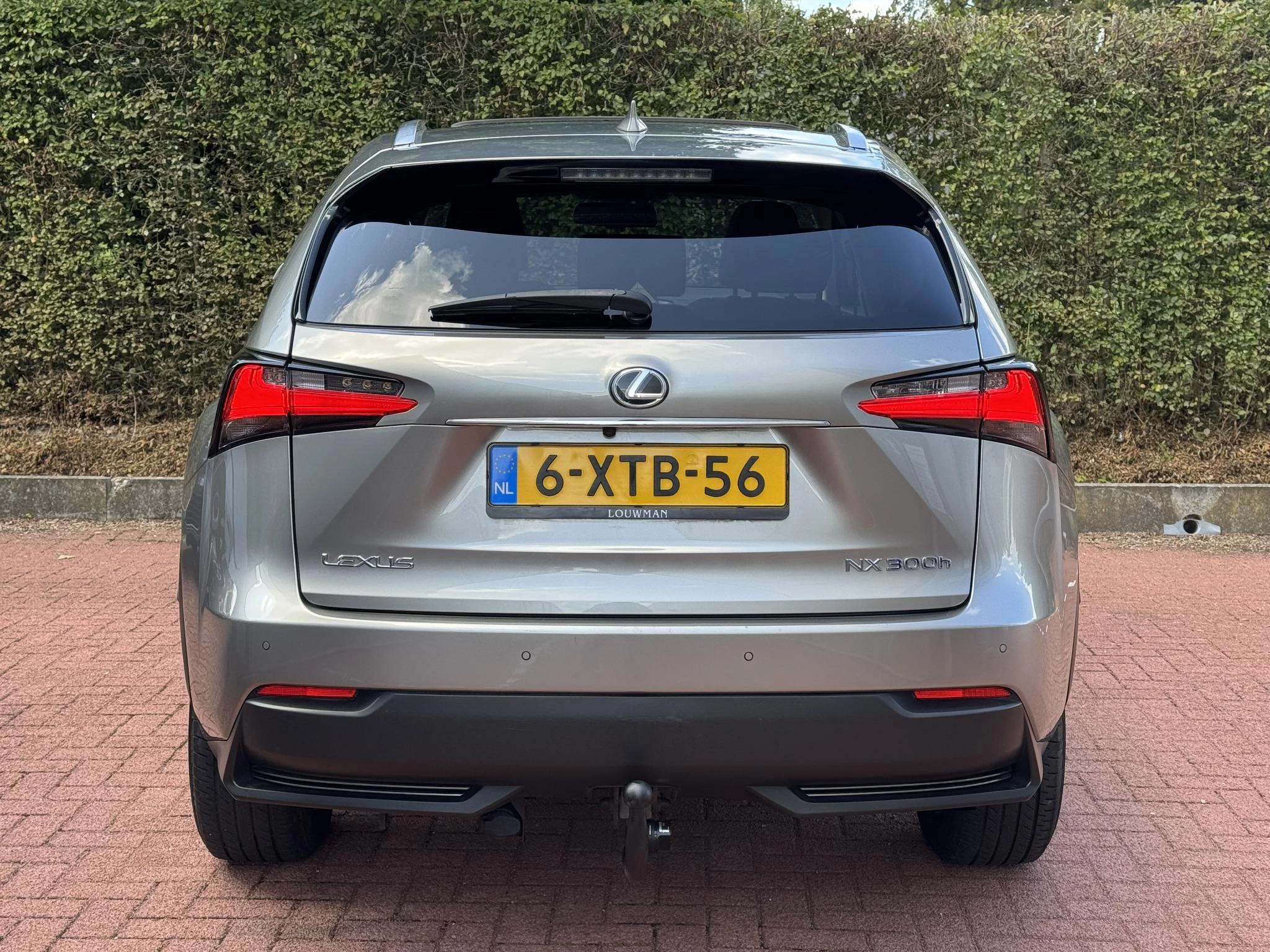 Hoofdafbeelding Lexus NX