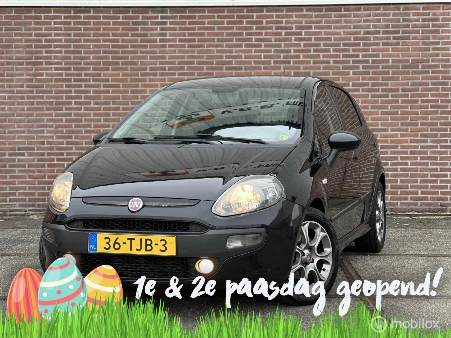 Hoofdafbeelding Fiat Punto