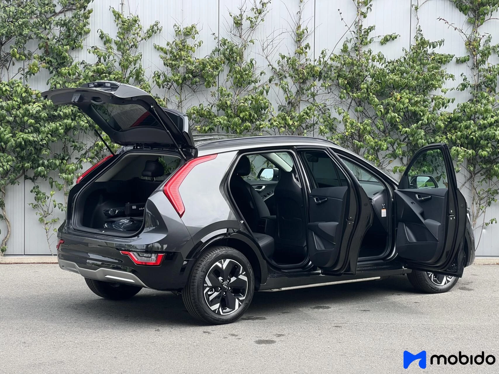 Hoofdafbeelding Kia Niro EV