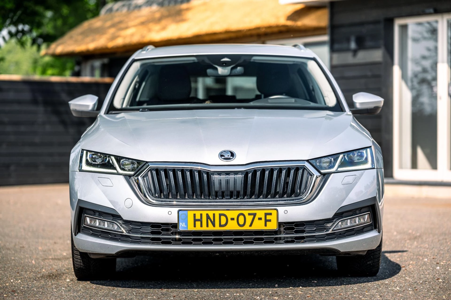 Hoofdafbeelding Škoda Octavia