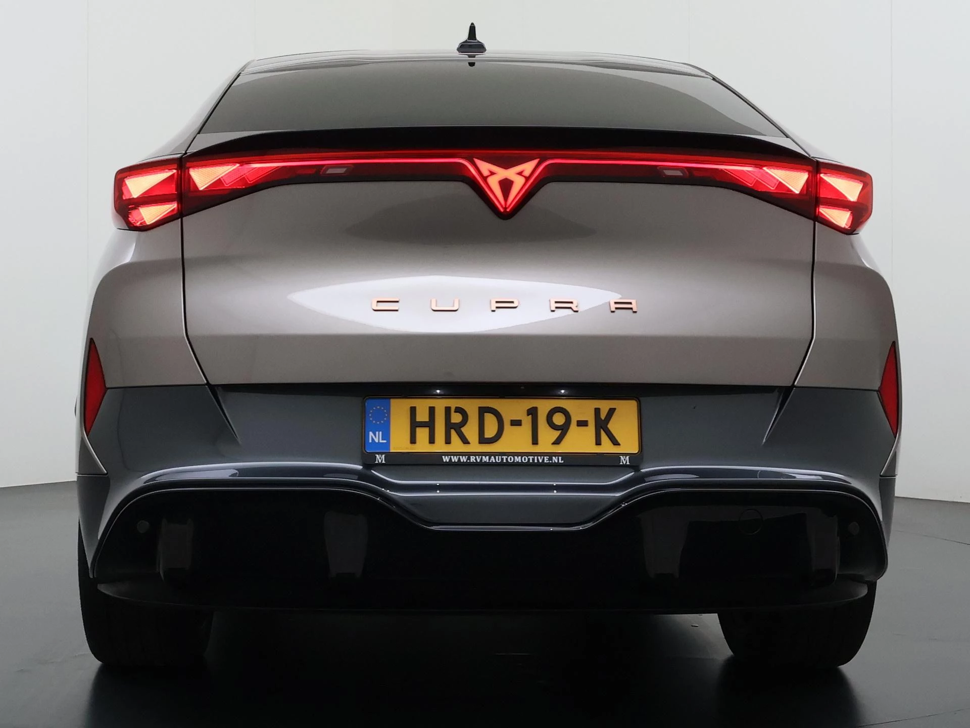 Hoofdafbeelding CUPRA Tavascan