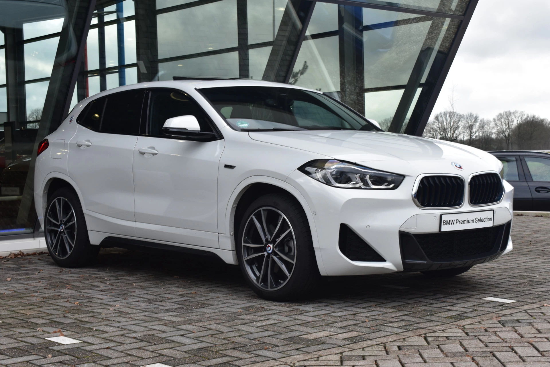 Hoofdafbeelding BMW X2