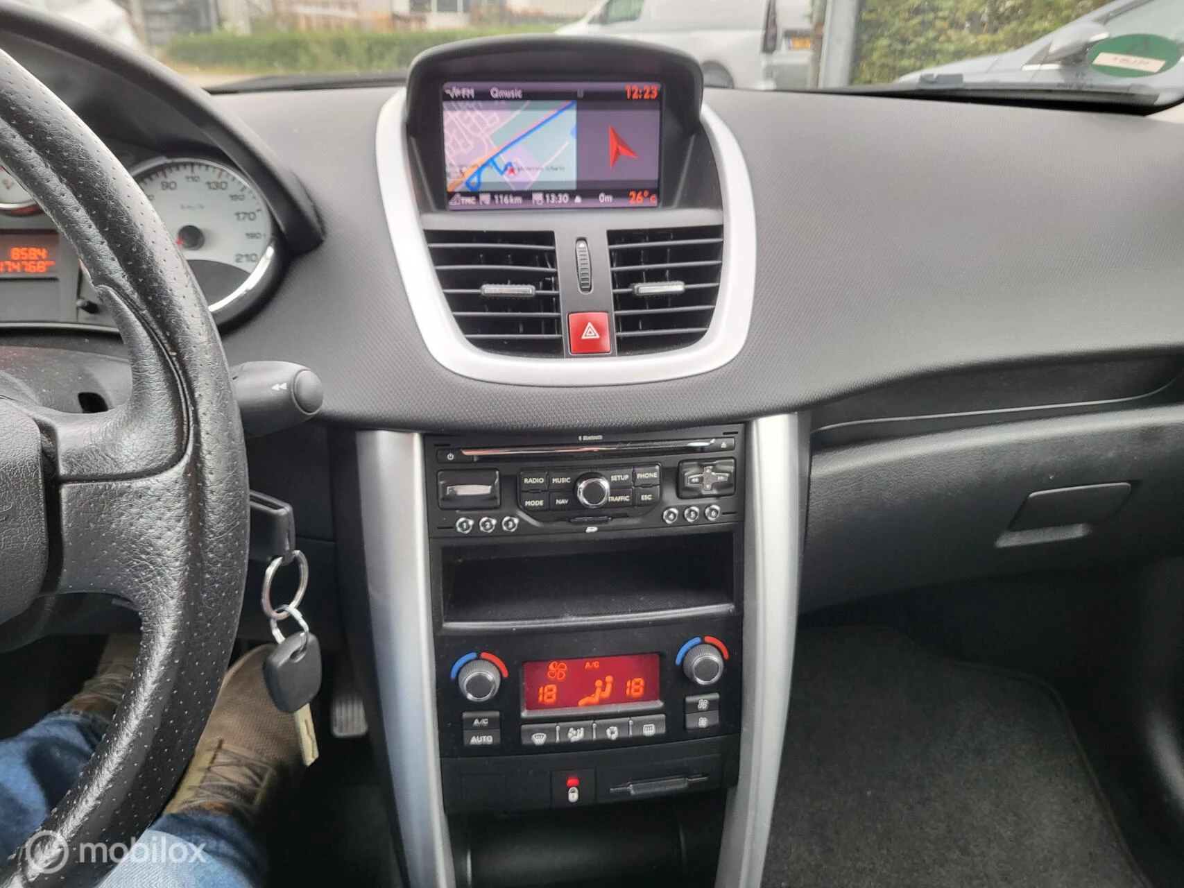 Hoofdafbeelding Peugeot 207