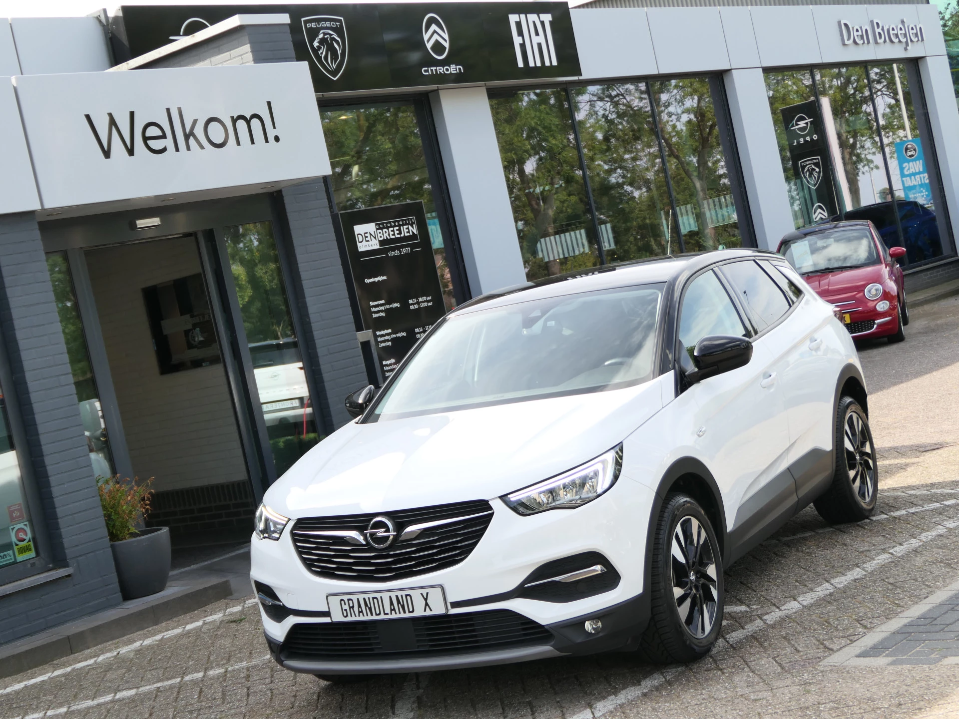 Hoofdafbeelding Opel Grandland X