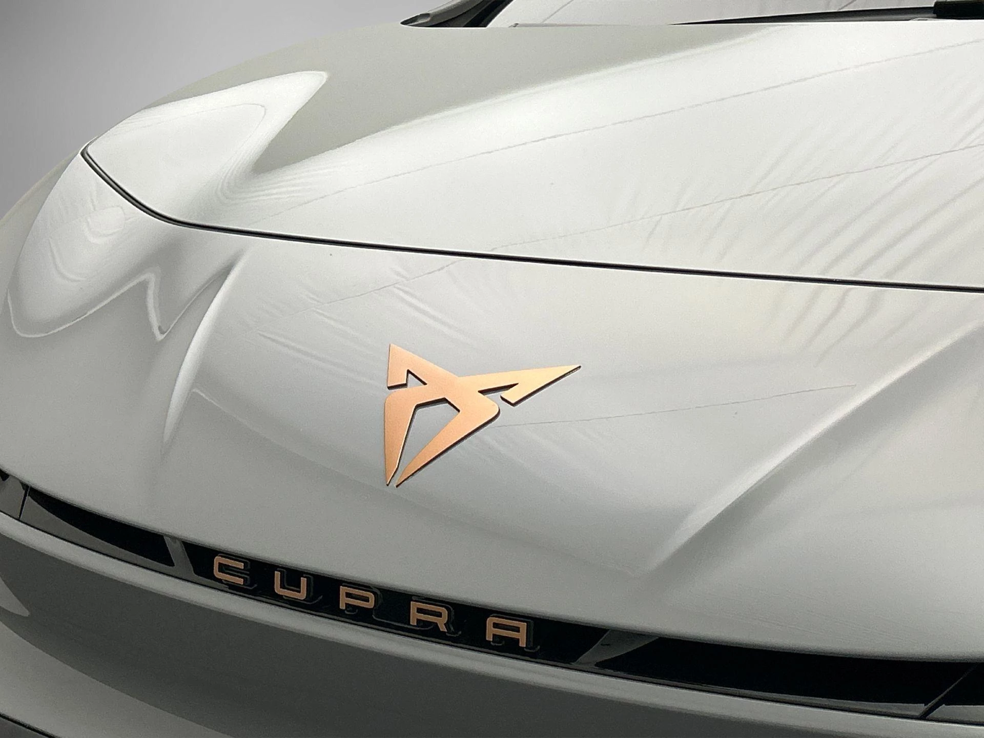 Hoofdafbeelding CUPRA Born